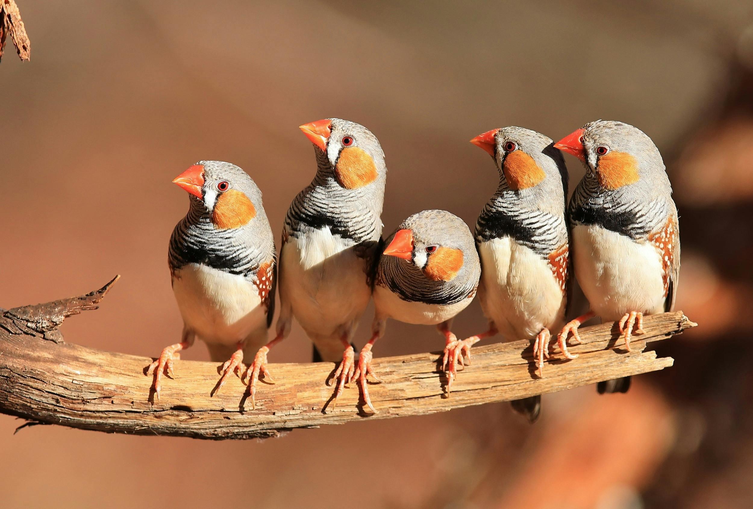 2F63Efa7A9D4317169A1F44Aaa5C0F24_W10Et41