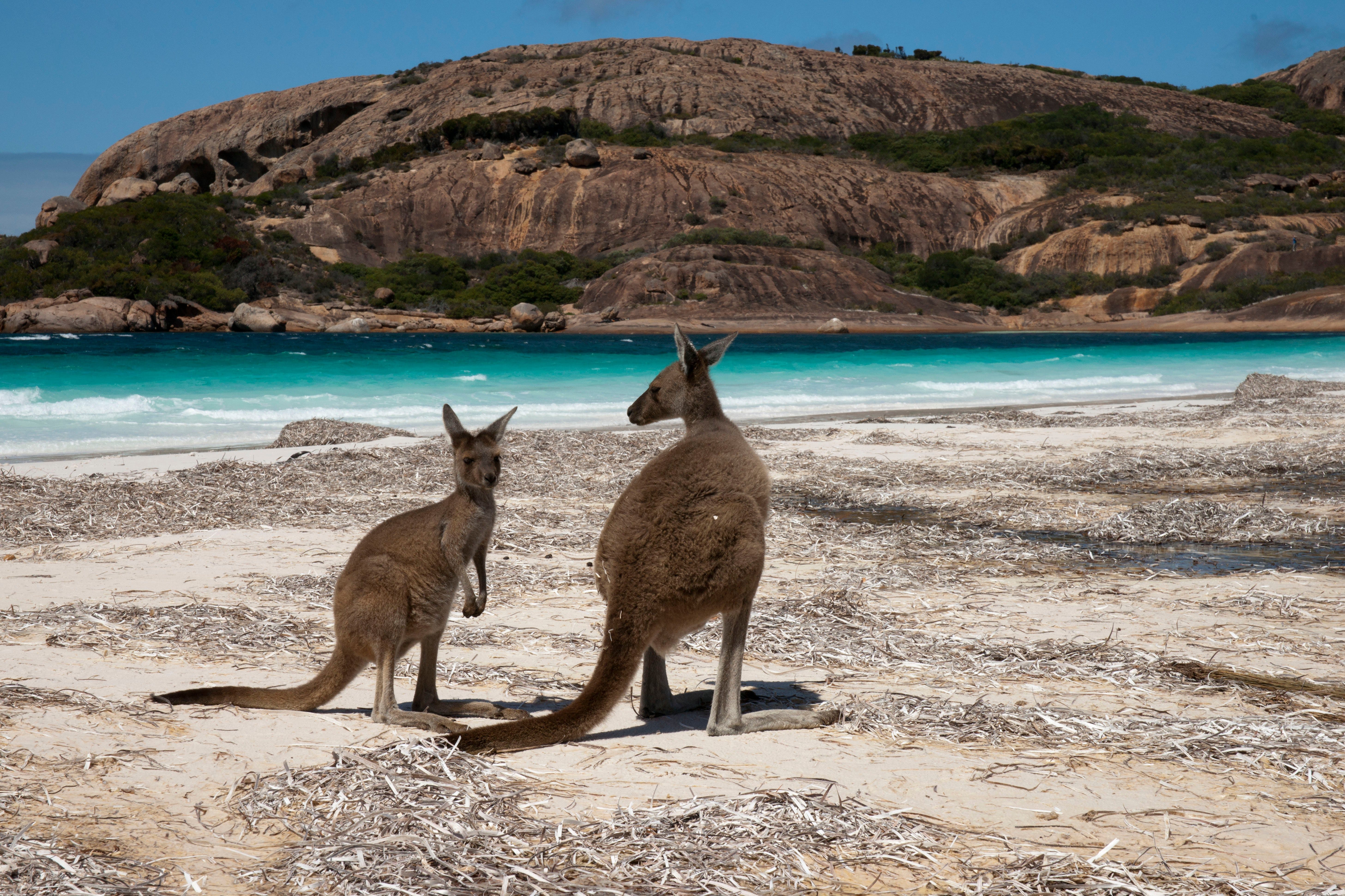 Cape Le Grand National Park Australia #39 s Golden Outback