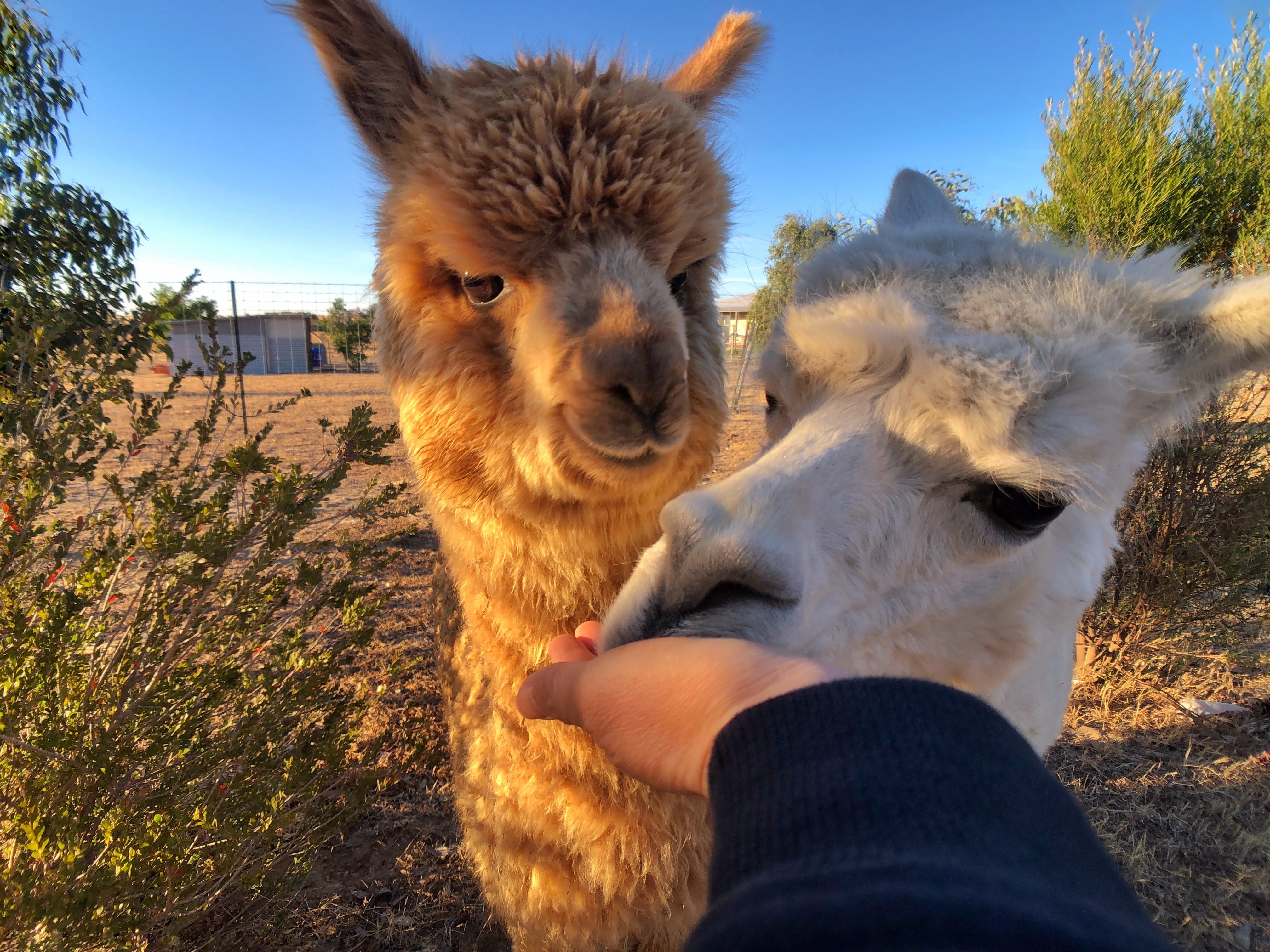 32Eb2D737B3Bbfb1E7Ae48403768Bbde