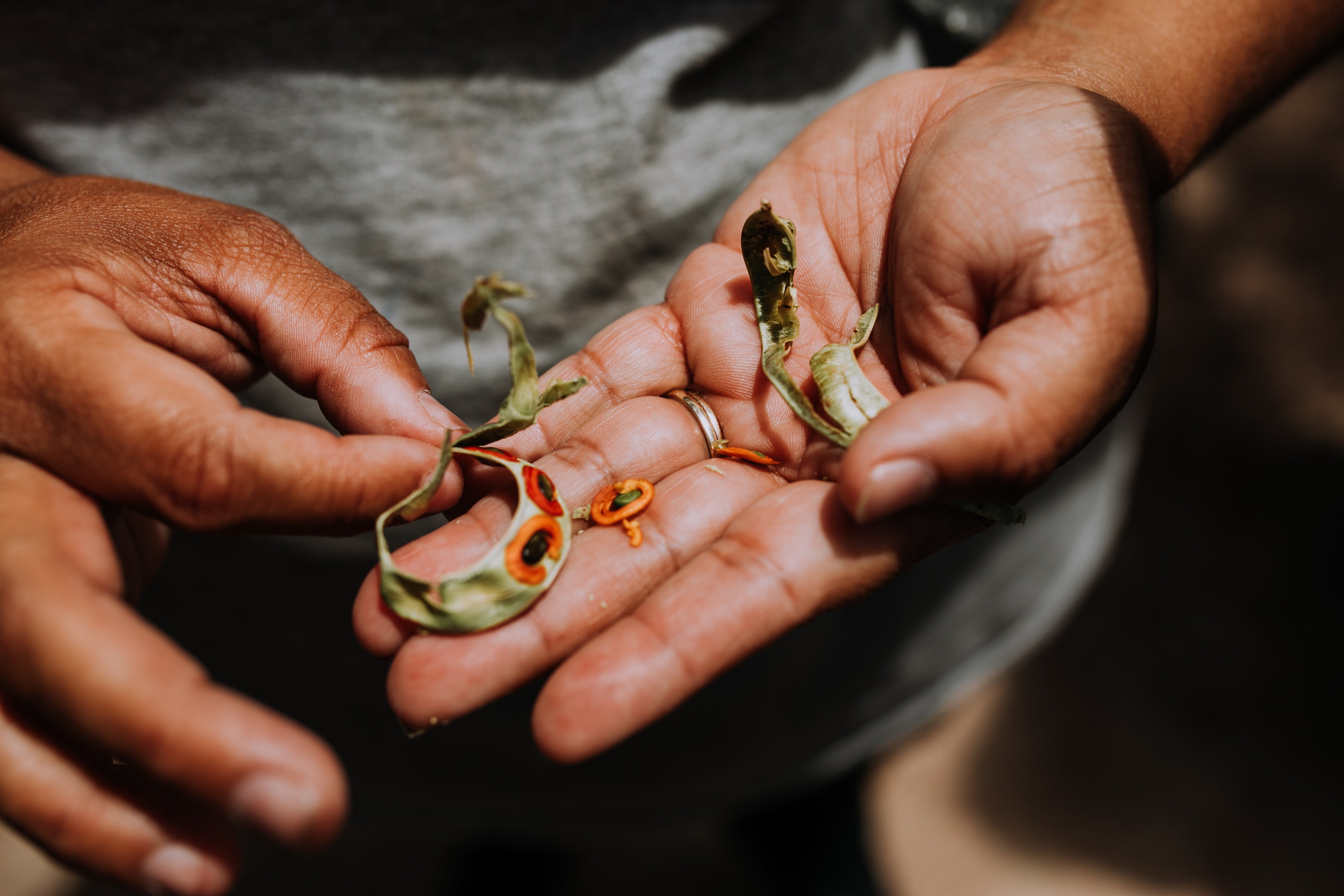 337763Aa4Cca8A93C7De7A72Fb2363C1