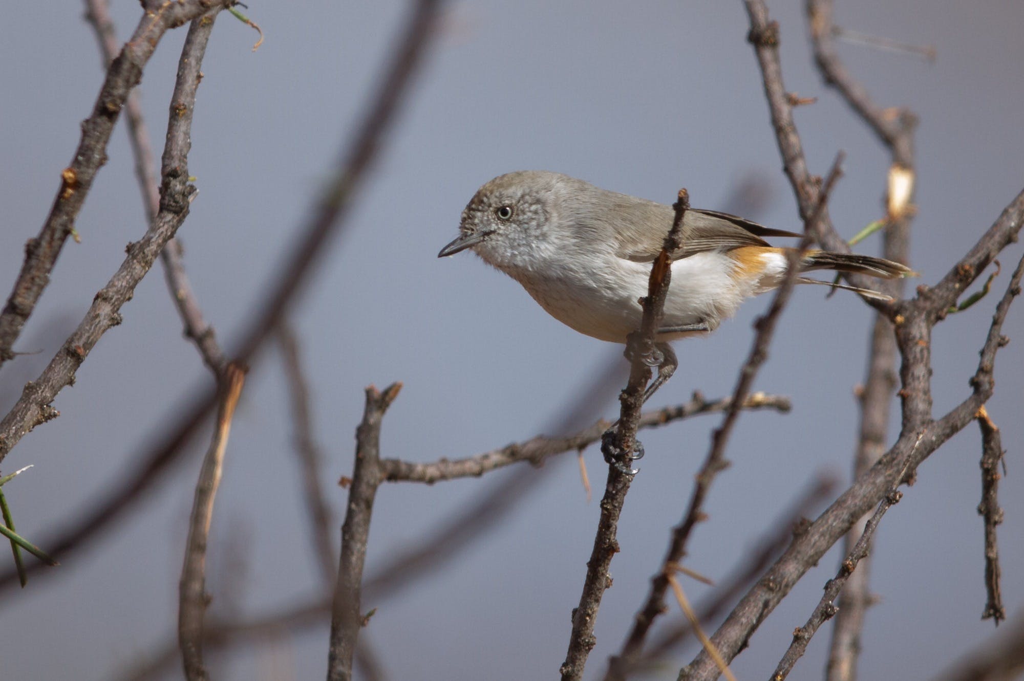 346Eea15F35E63386D60E5897B1Bae0A