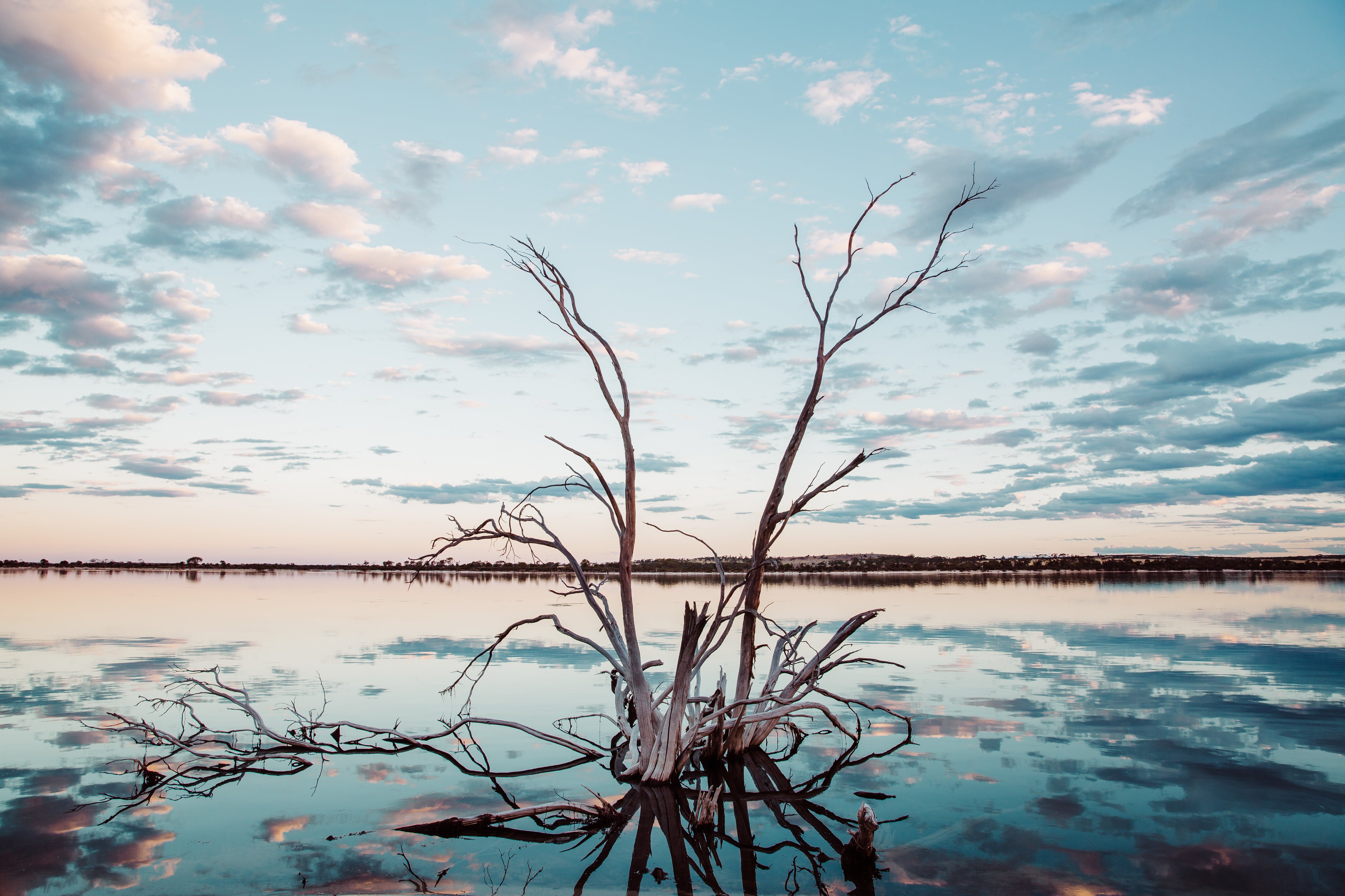 366F022A0059Bc2Bf0334Eadbcaf4149