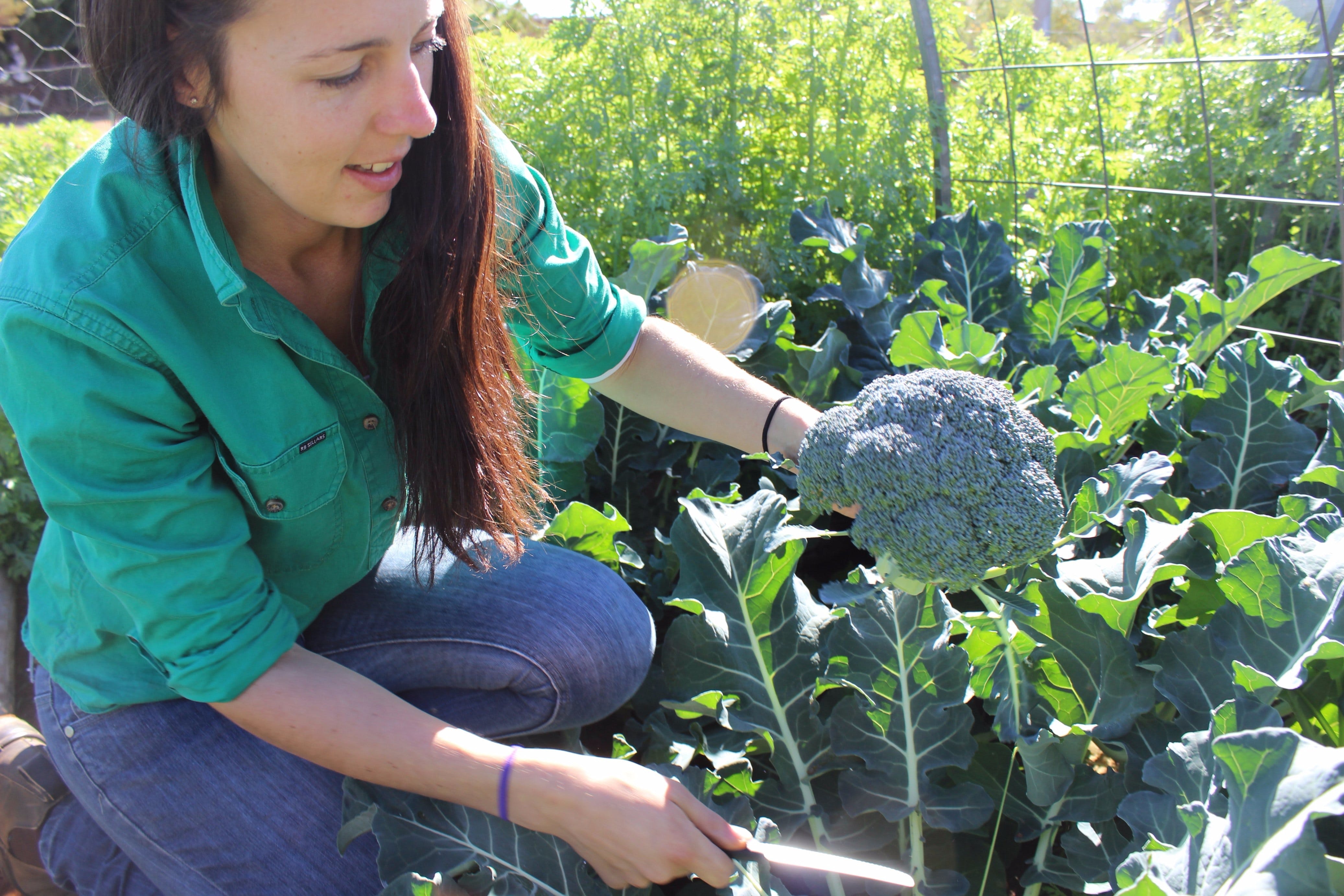 36A62E533Dfd43329Edbb7C2E2A5Fcbe