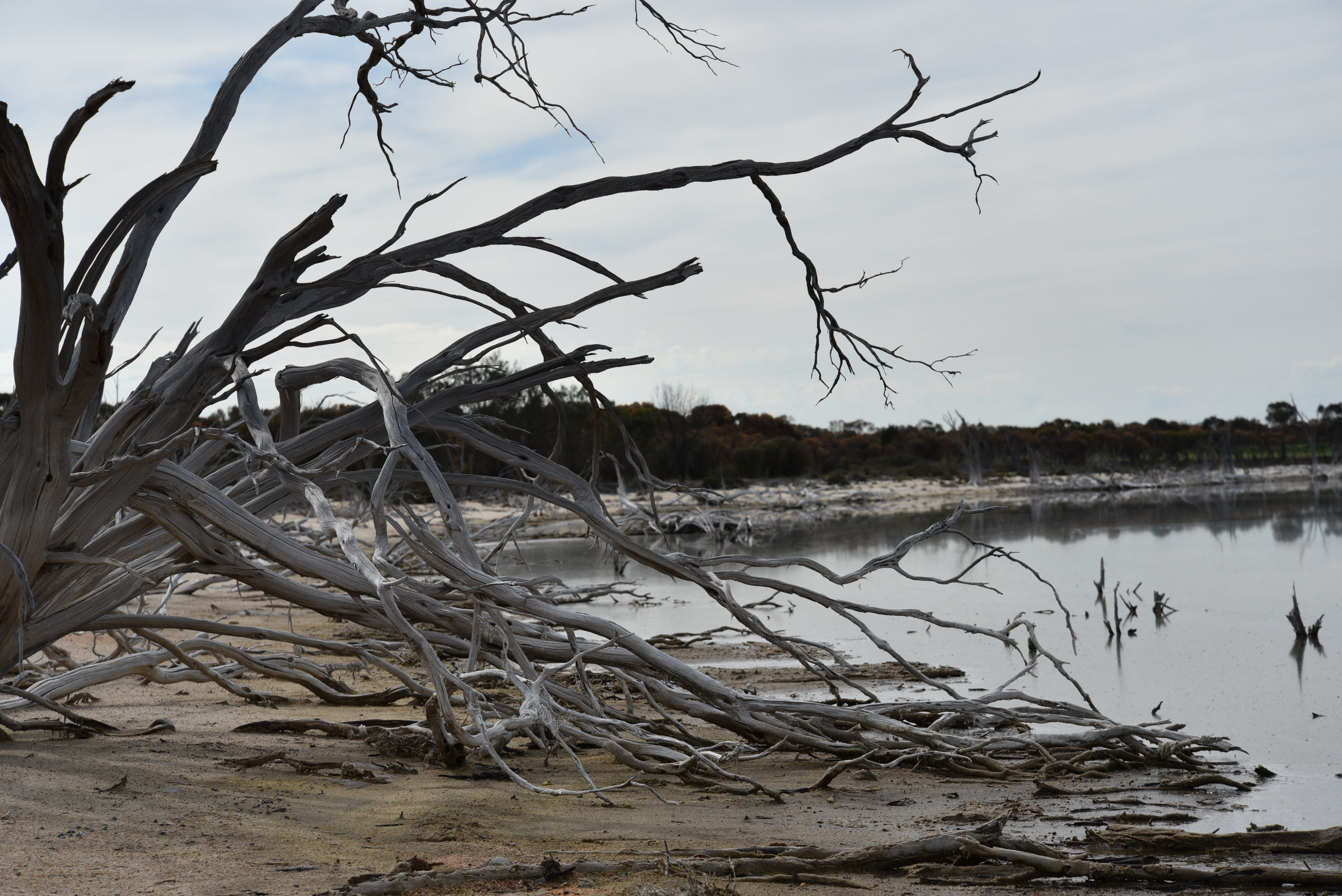 3999Cdbb929Be99286182F2B5C89B7Ac