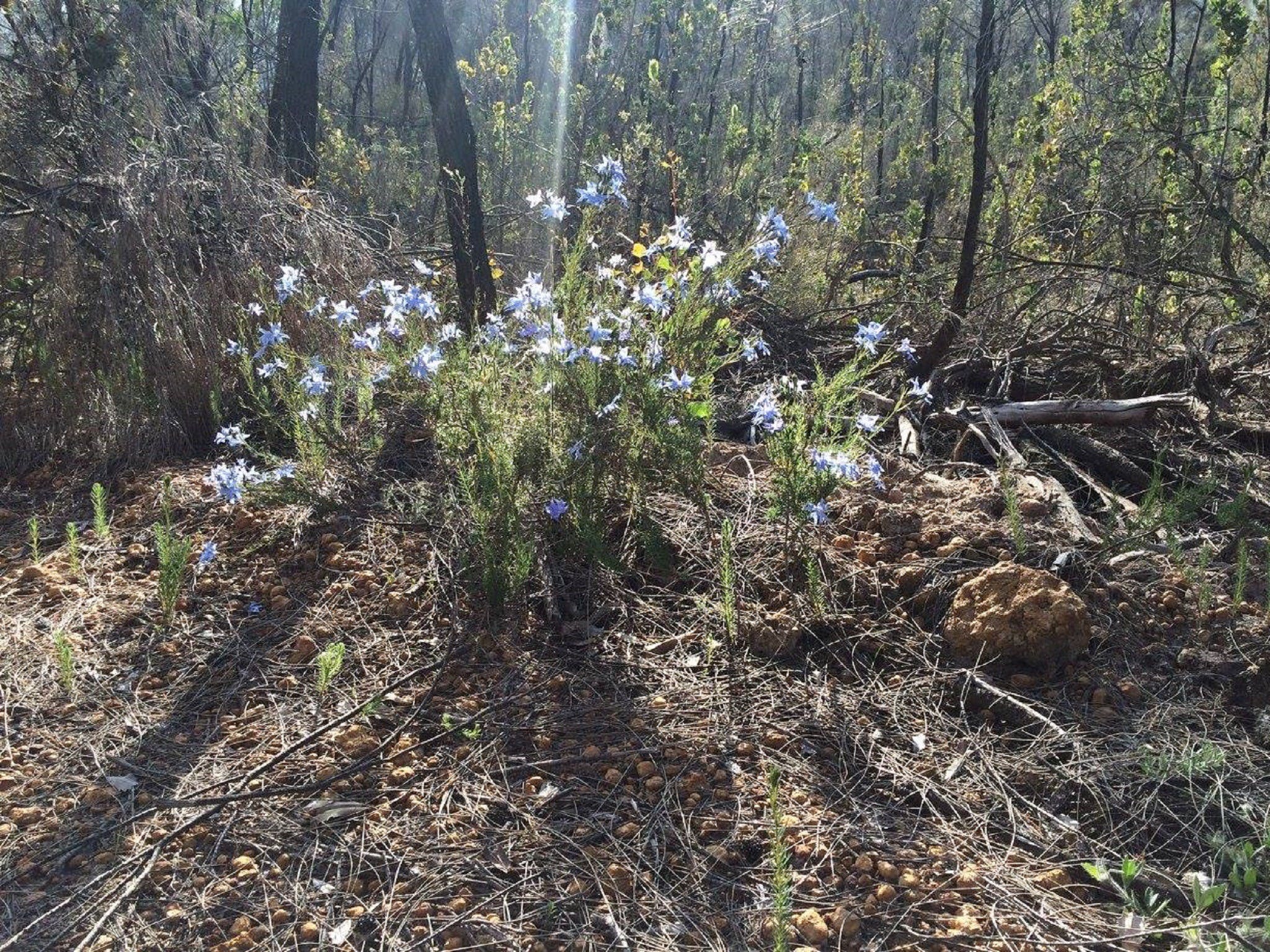 3D50708649B2Cf07348A476A0496D5B5