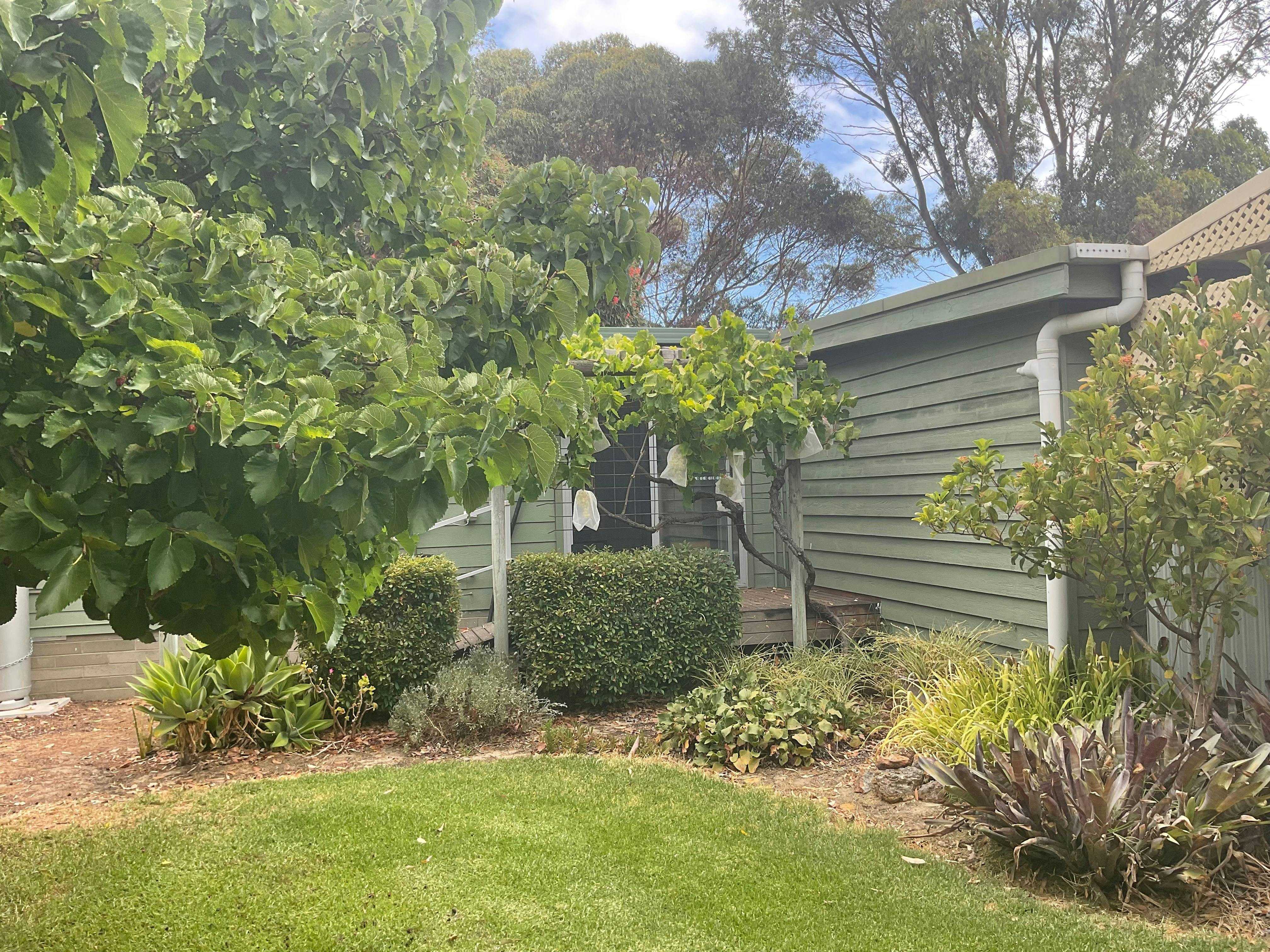 3Eafd963Cb171C2B7801A507Cfa40F29