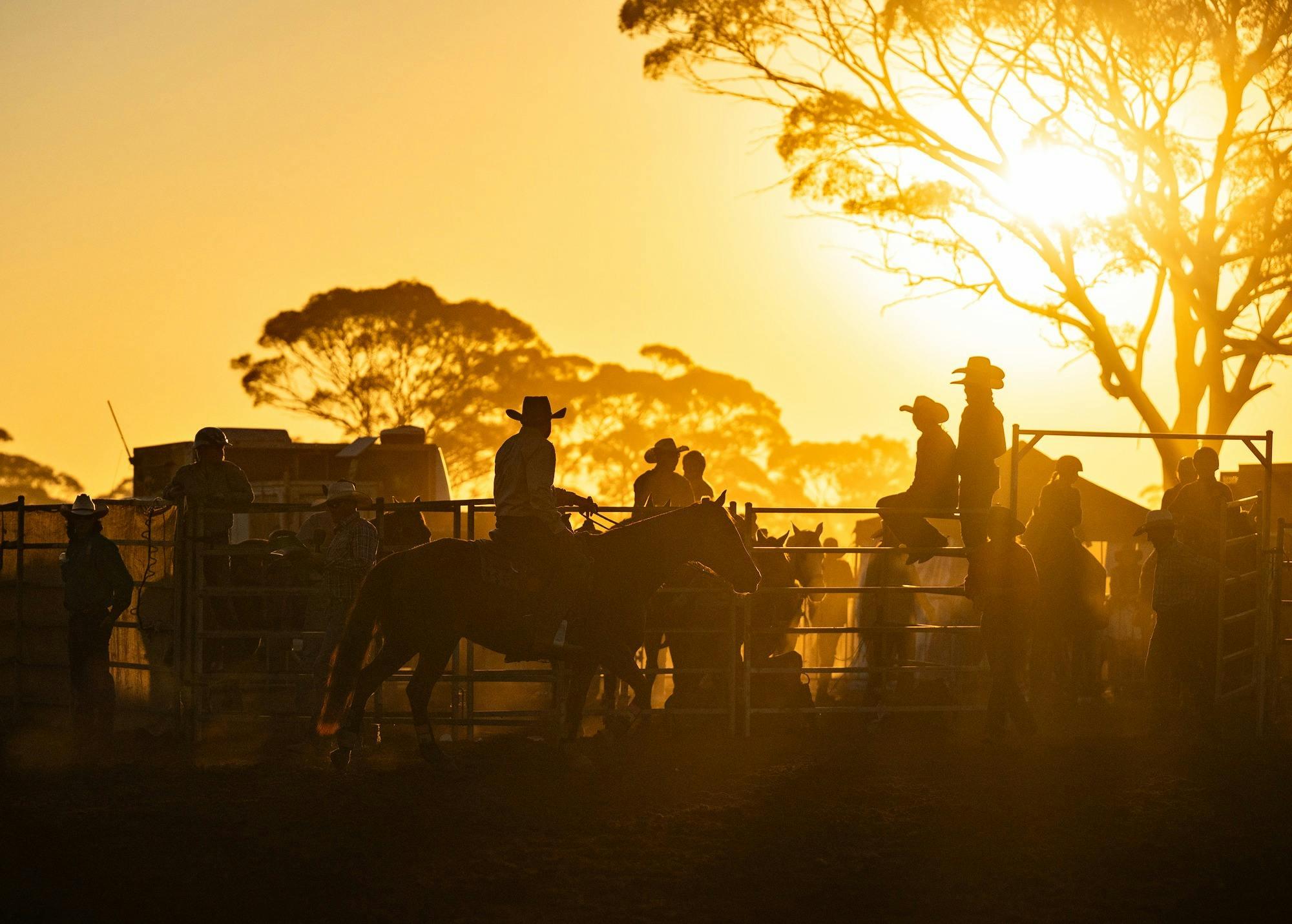 430A60532F0Dd9Fb8Cb35Cf711Ef2Ee8