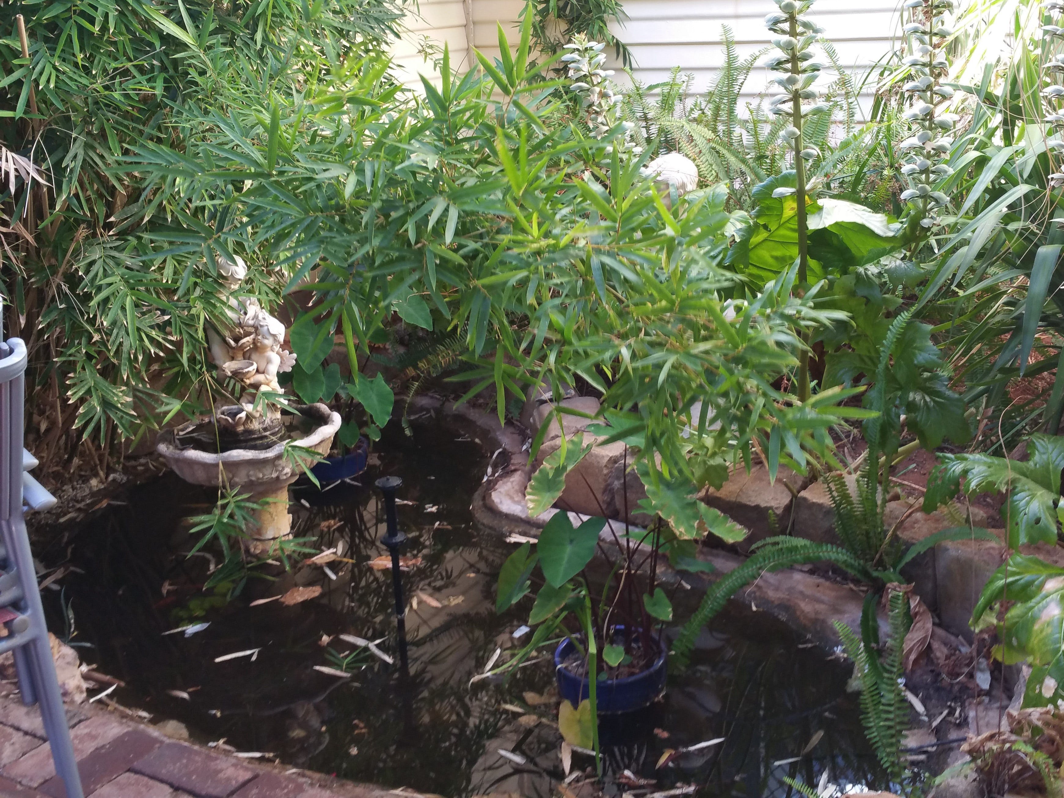 43125A588B74Eb5551034Ecb7Dc4D561