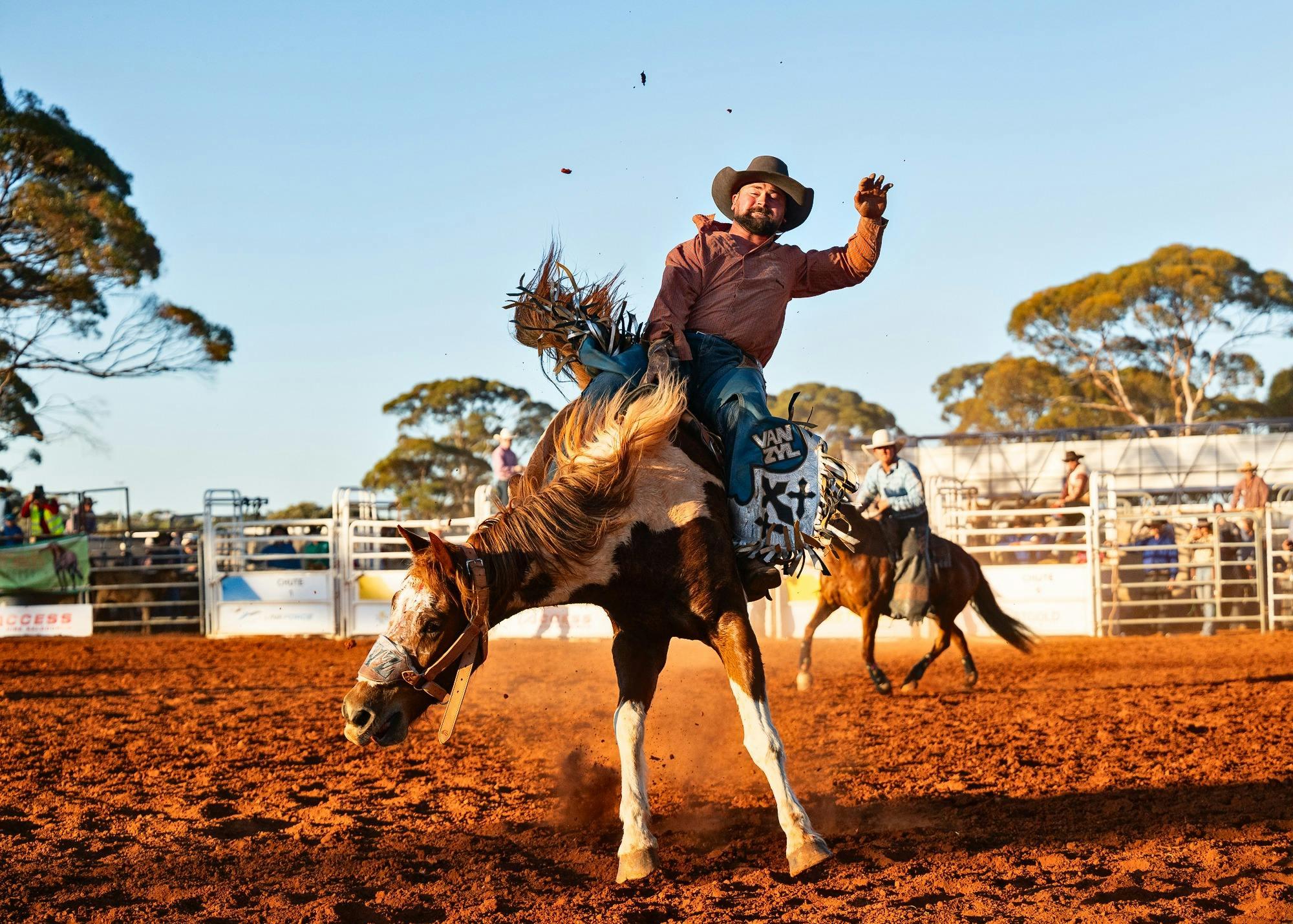 461A45Add666D5A22756E19587875574