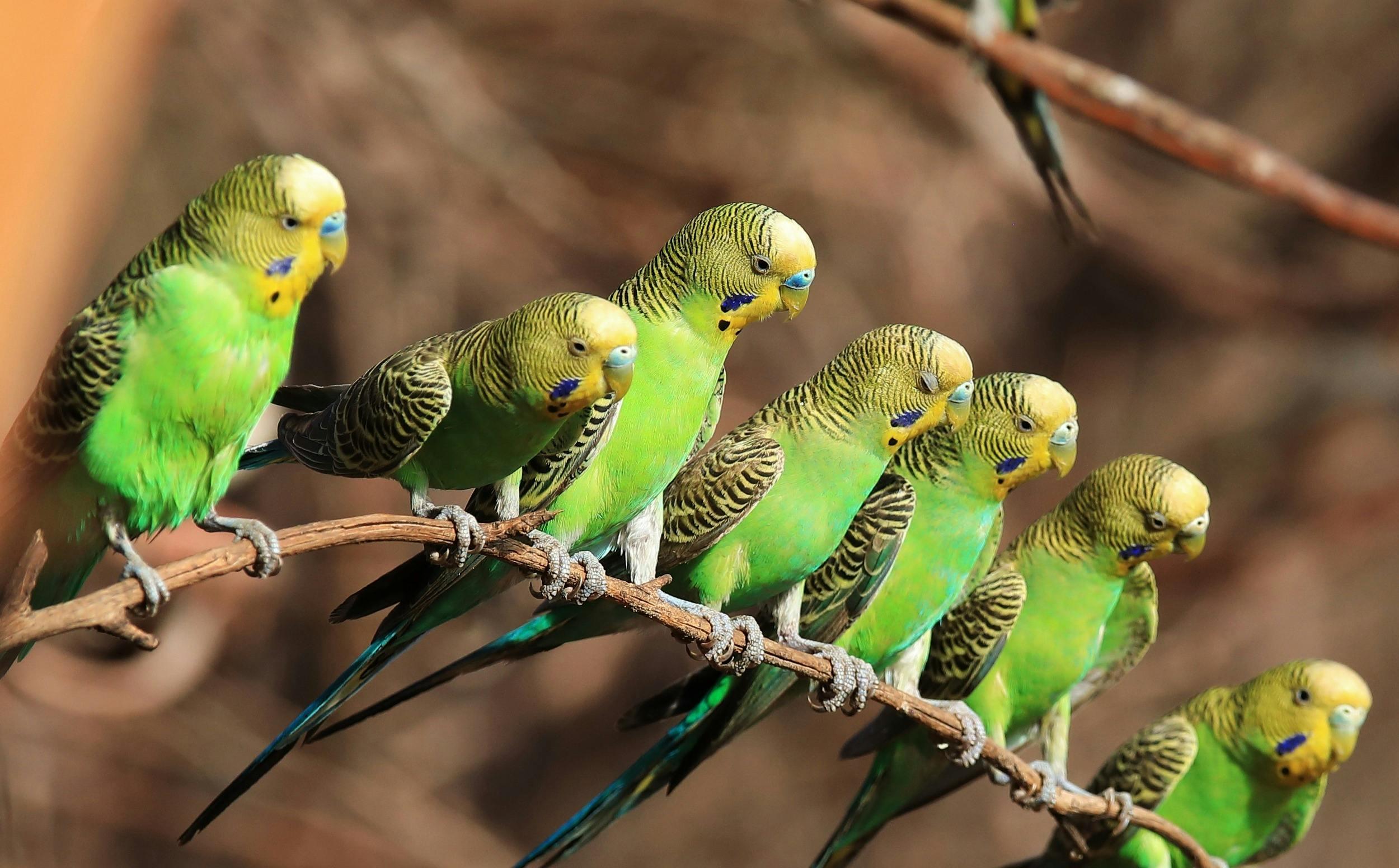 4Eda1215Da49Fb6968Ab4E5C7C87D218_Zuu9W6X