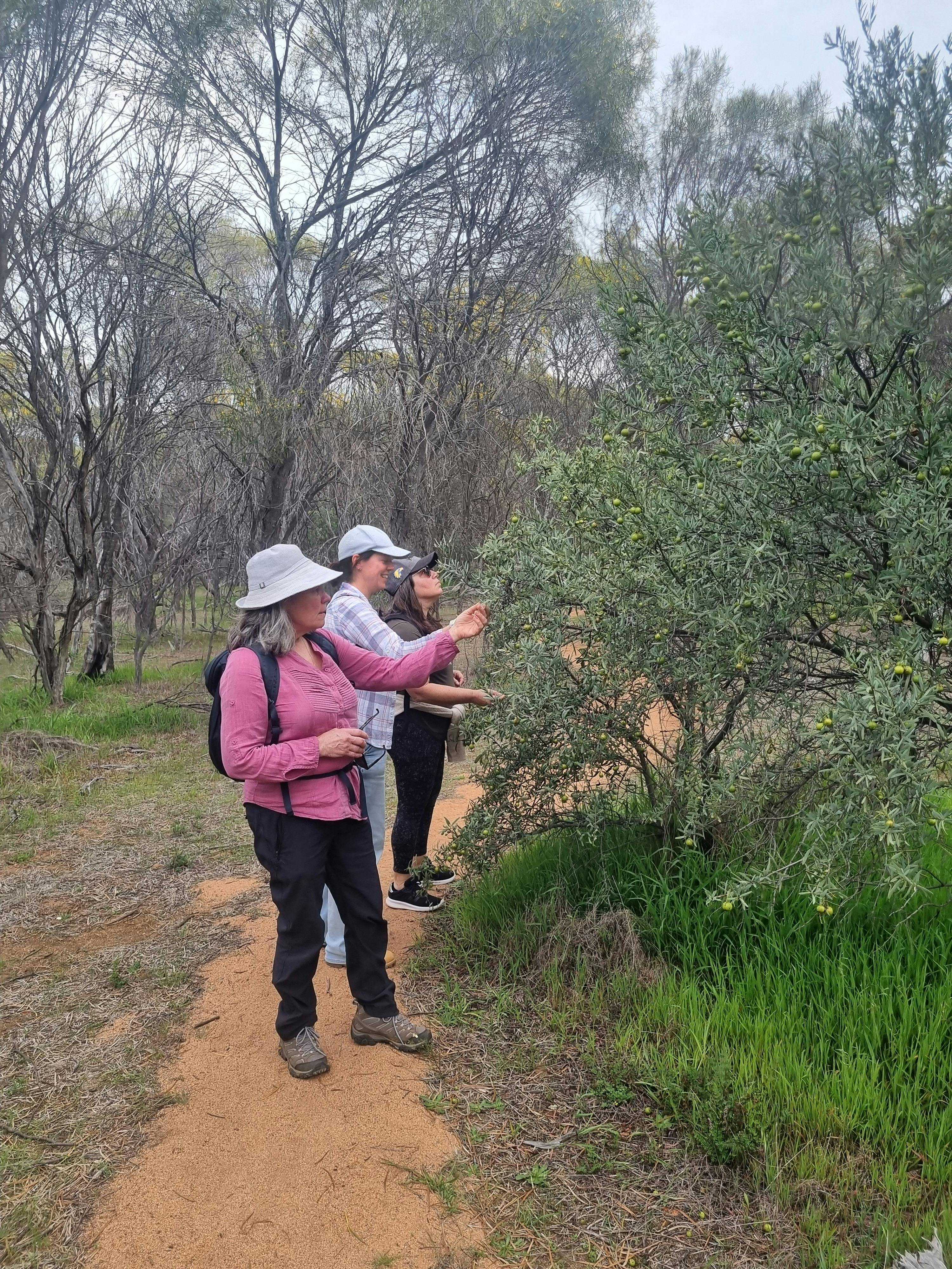 52Ab1Fe333E91C2007B7Bb2C2213228F