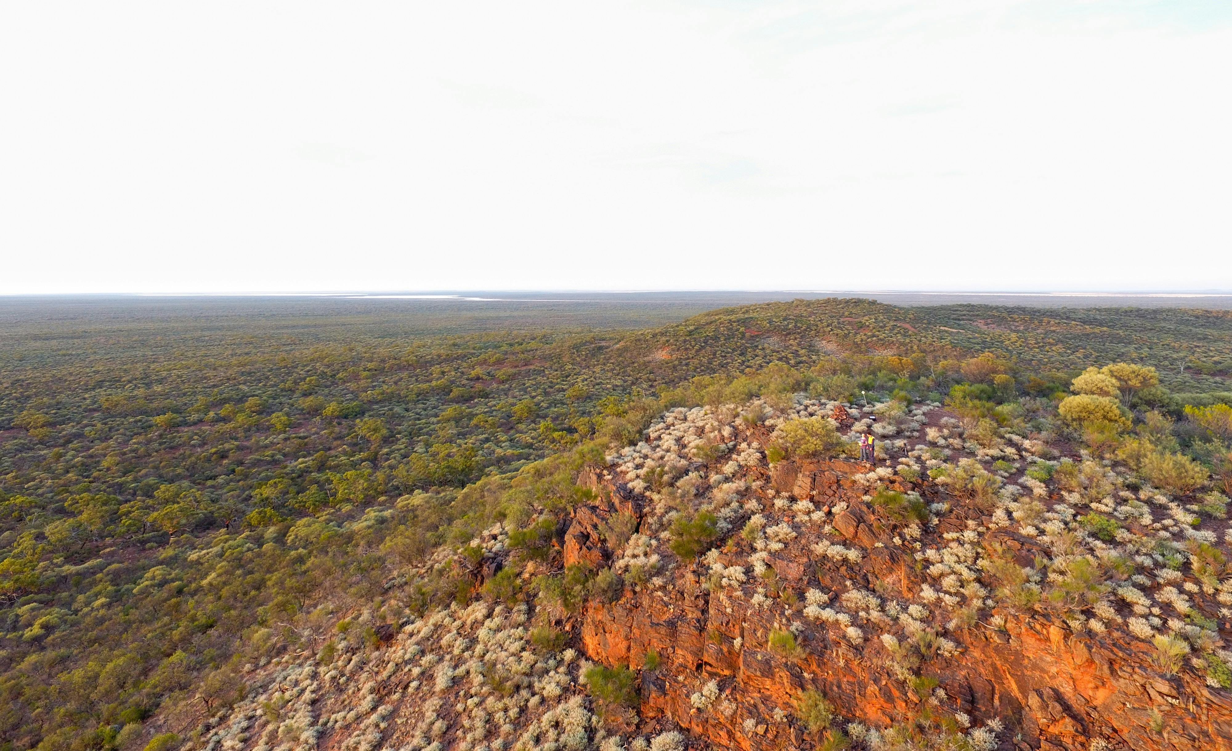 548D55D8C29Ba062F6539Bcc30Afce1E