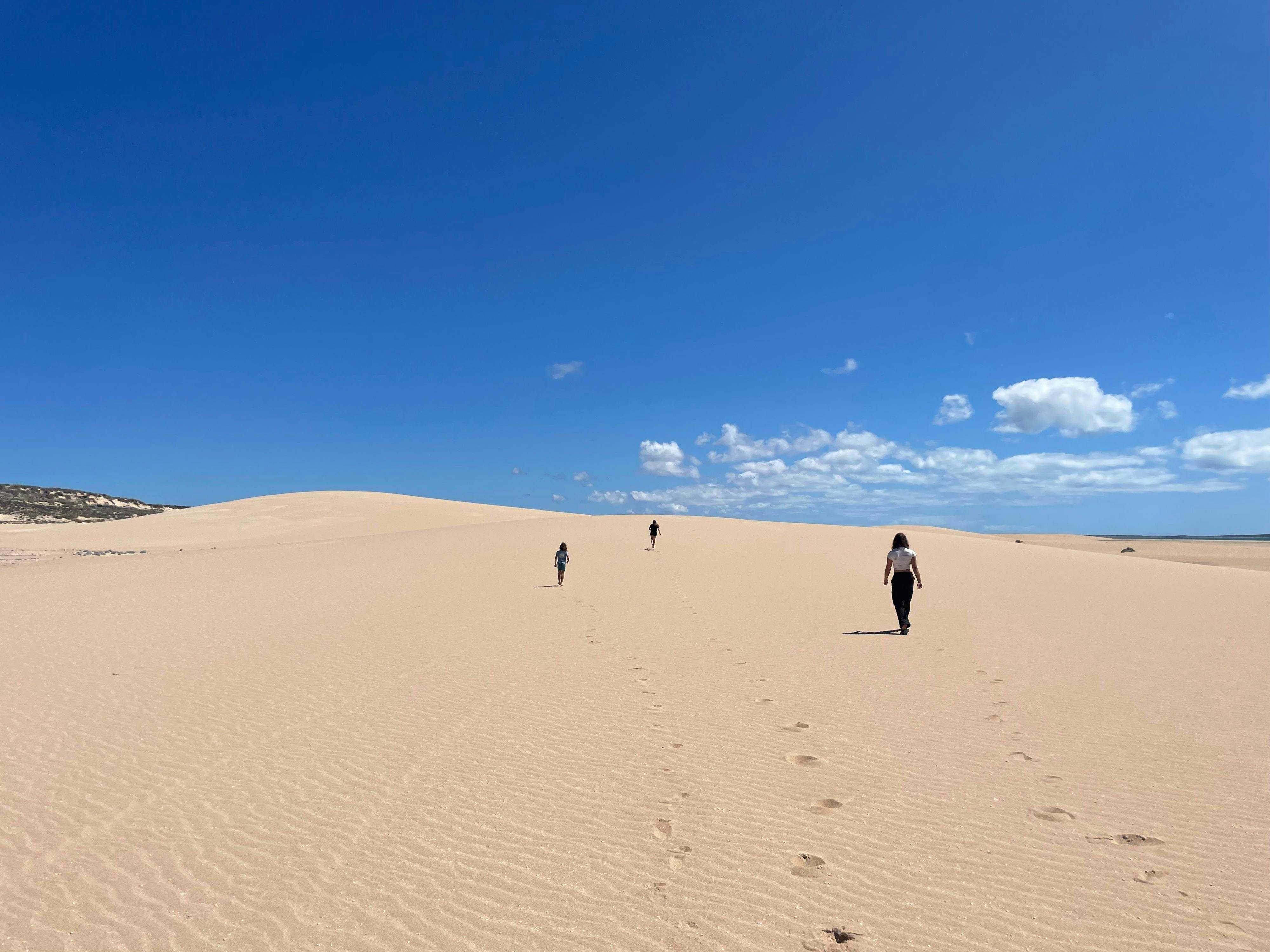 5543Ebaaa8821F8699F909693Bf483Df