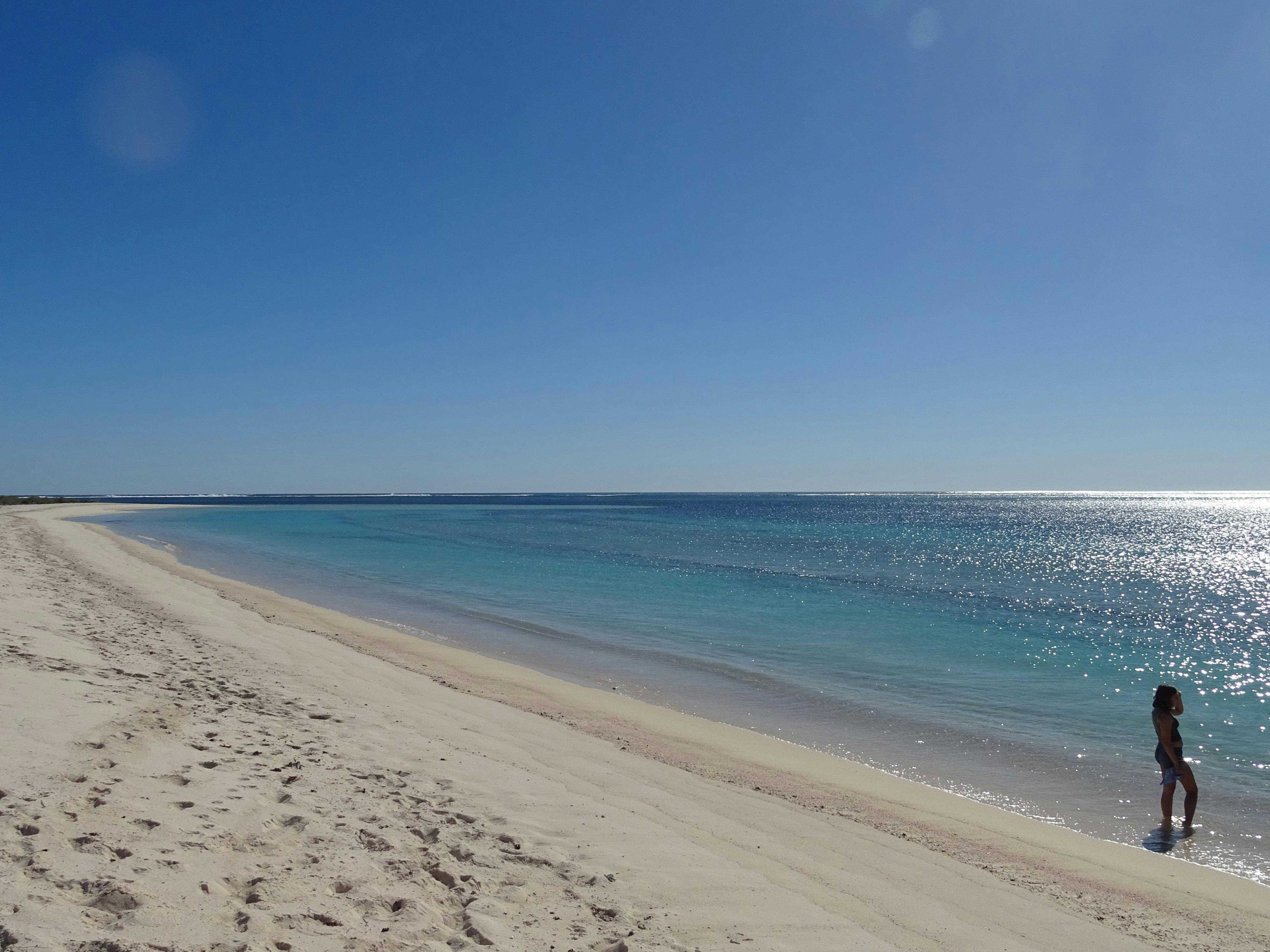 5B9651Dd3E1D3Dfd5C5C4270382E11Bd