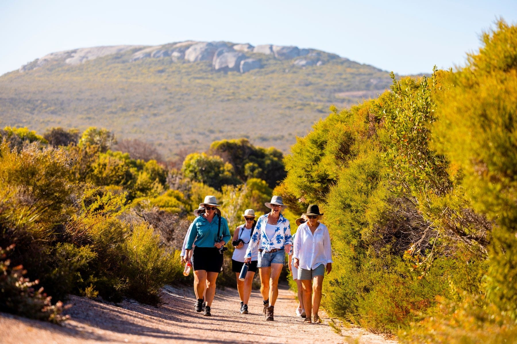 5Cdcd6F7Ceb8593154F712Aa834E88De