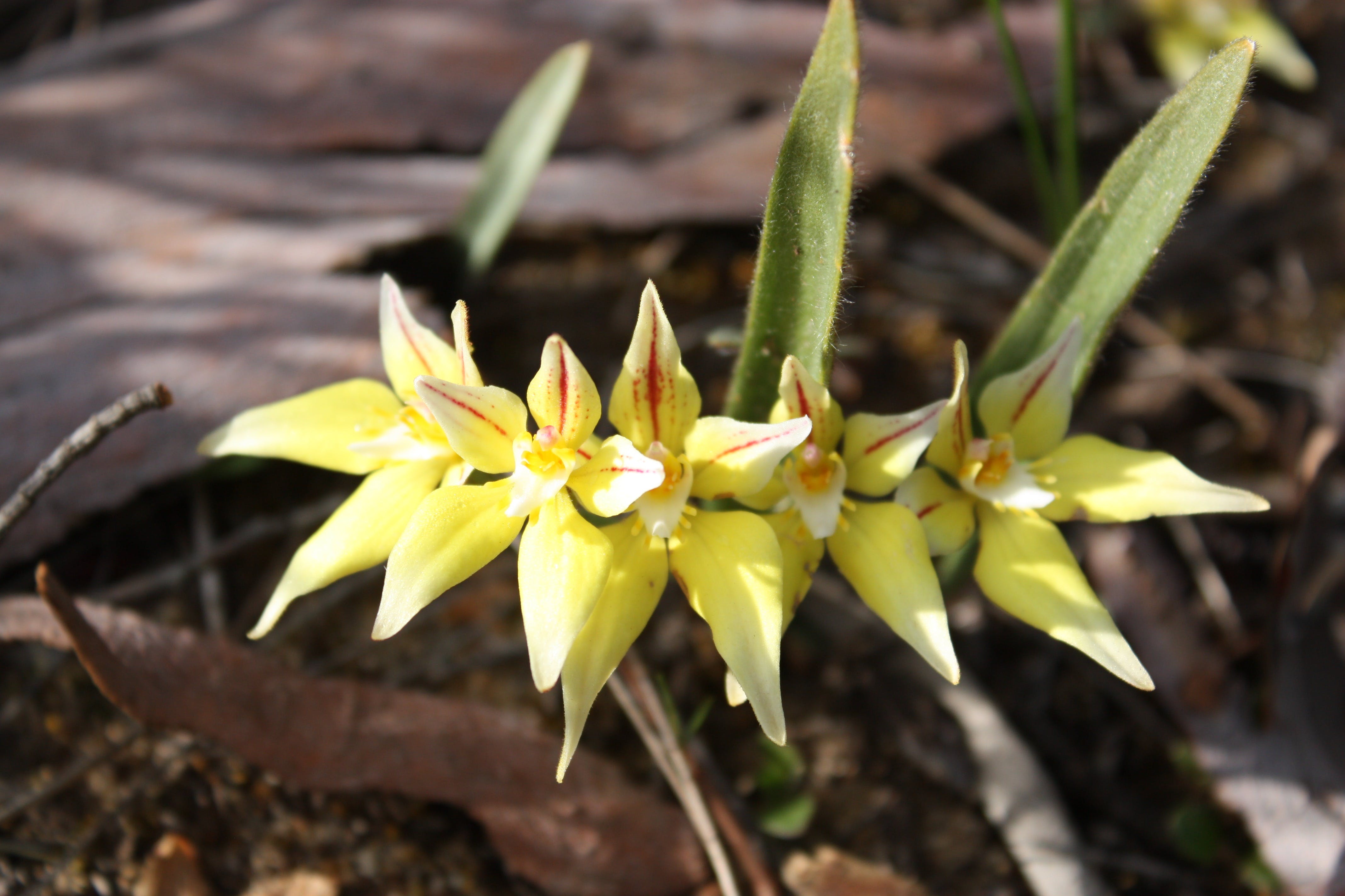 5F98Ffab48E926E053C41E6F5657Fee0