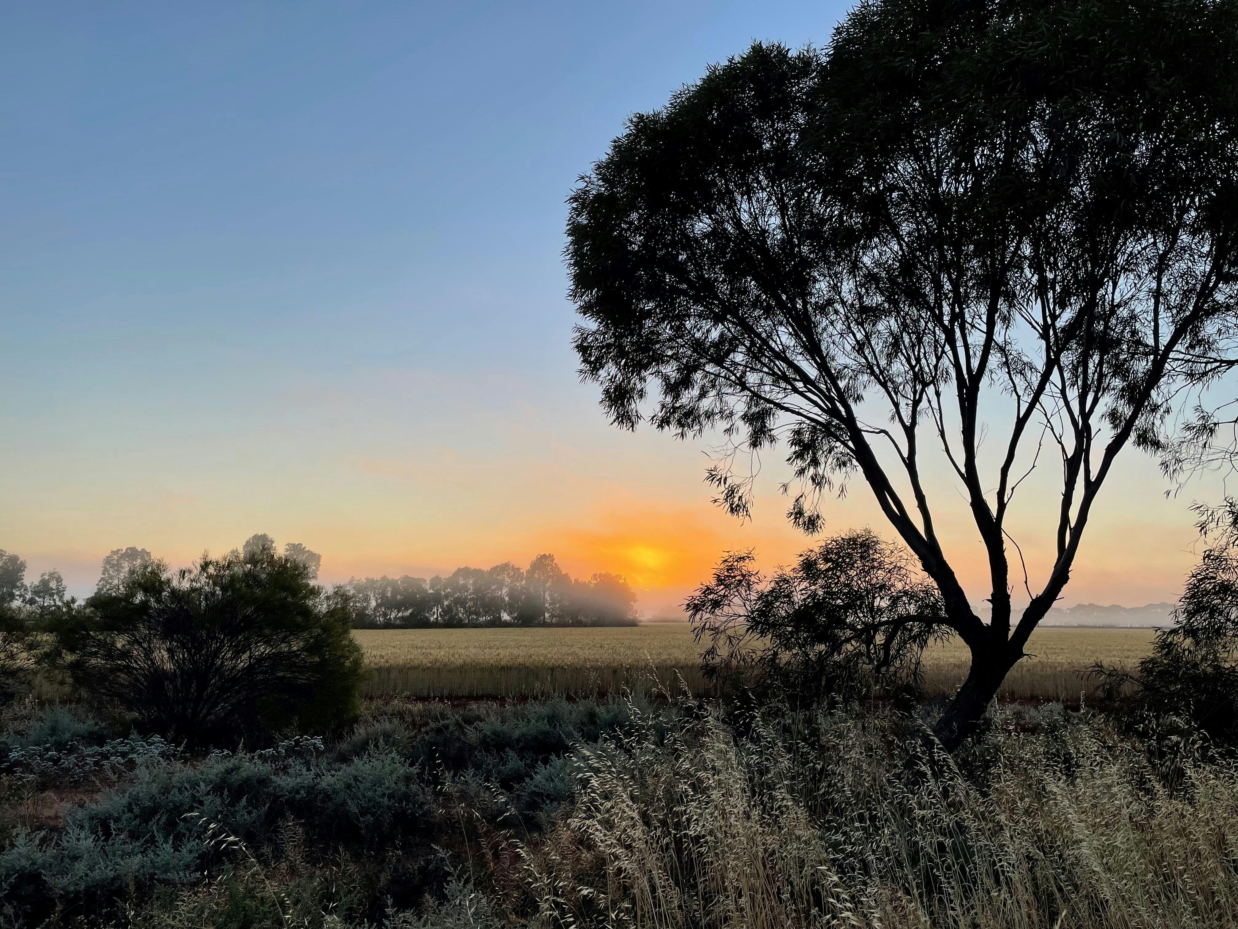 614B22140F478C71D717Cfd75F3Ced43