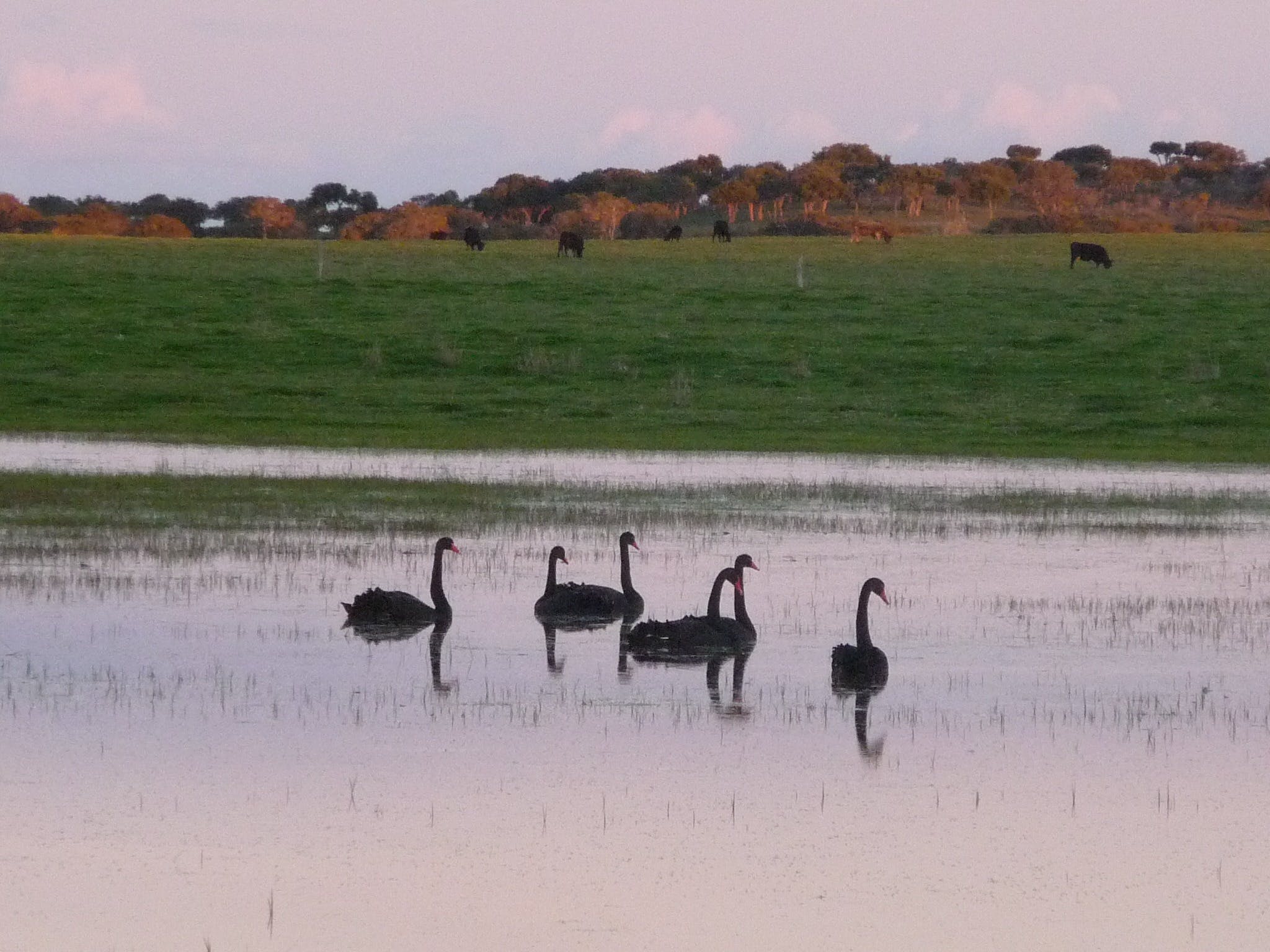 619200E557949D9B299F6C9D87A5F80E