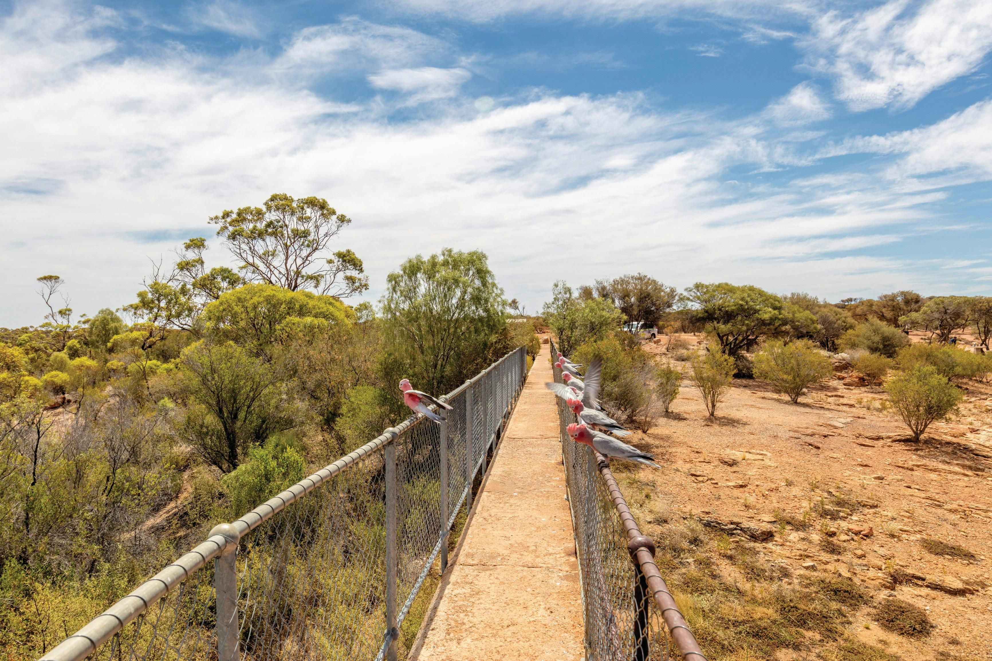 61Ed06191B77413479Fd905Af29D8725