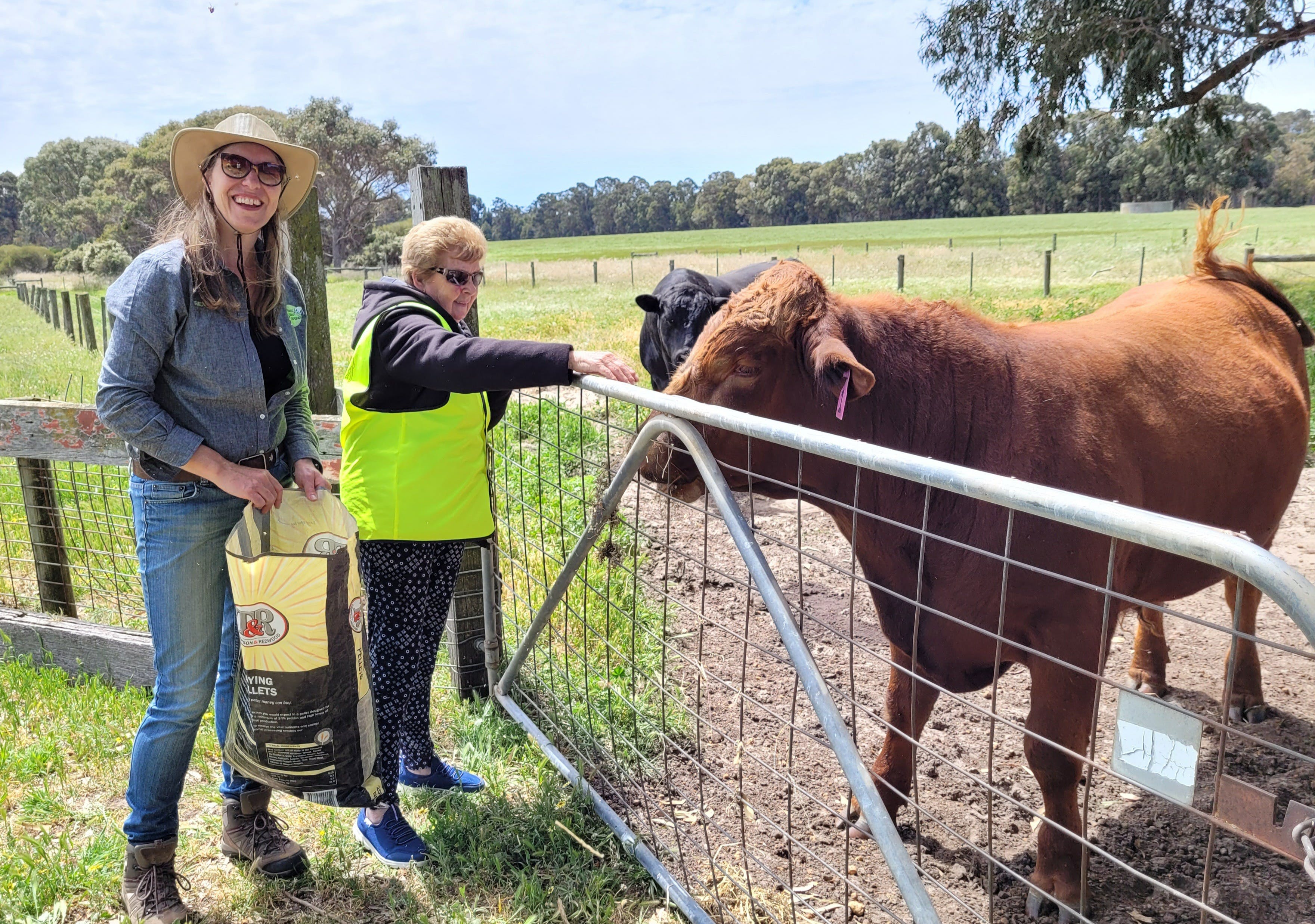 61F405B8Dd72Daee625Df51838440695