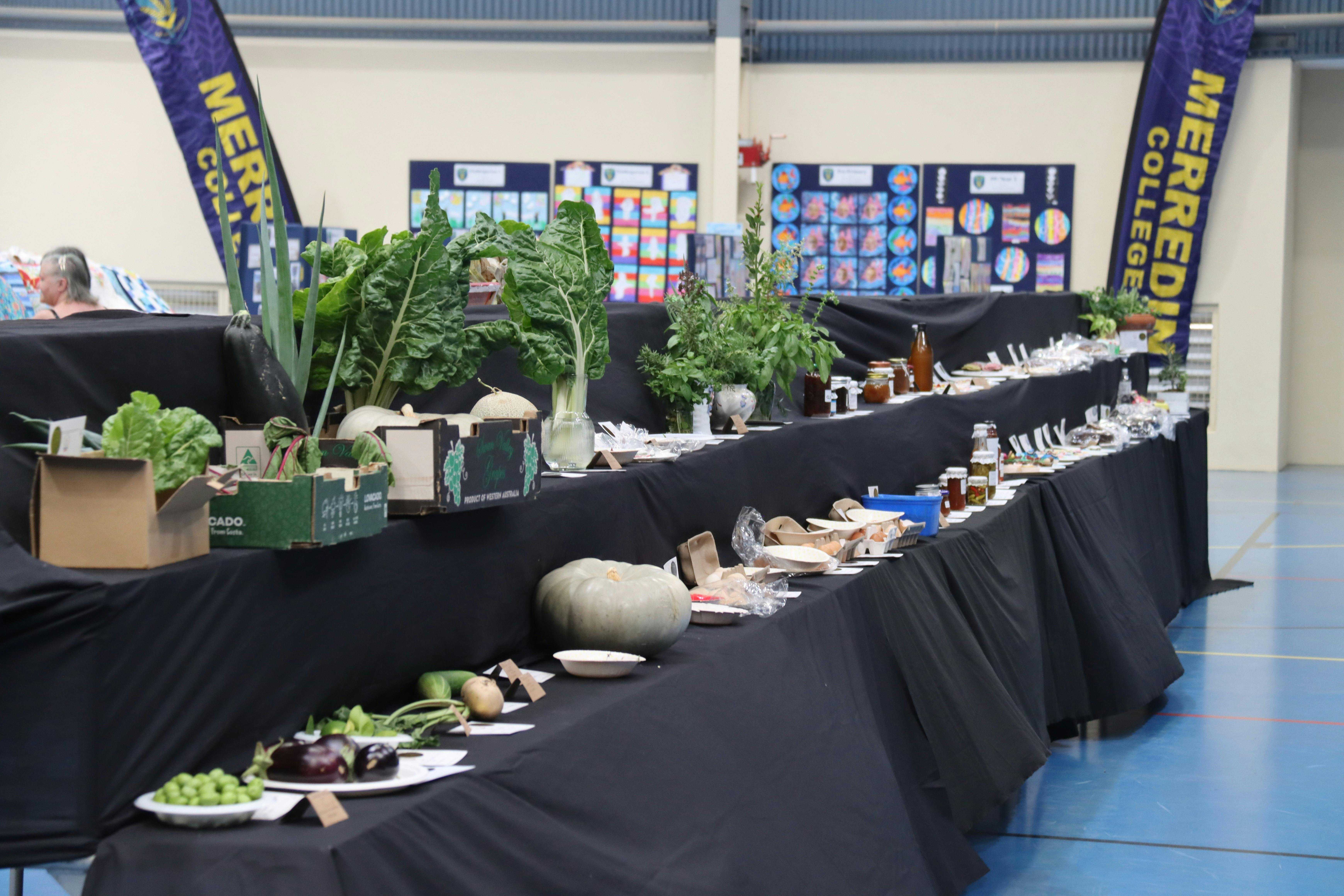 62D1C3E844Bfaf5D12D9A9054F752C03