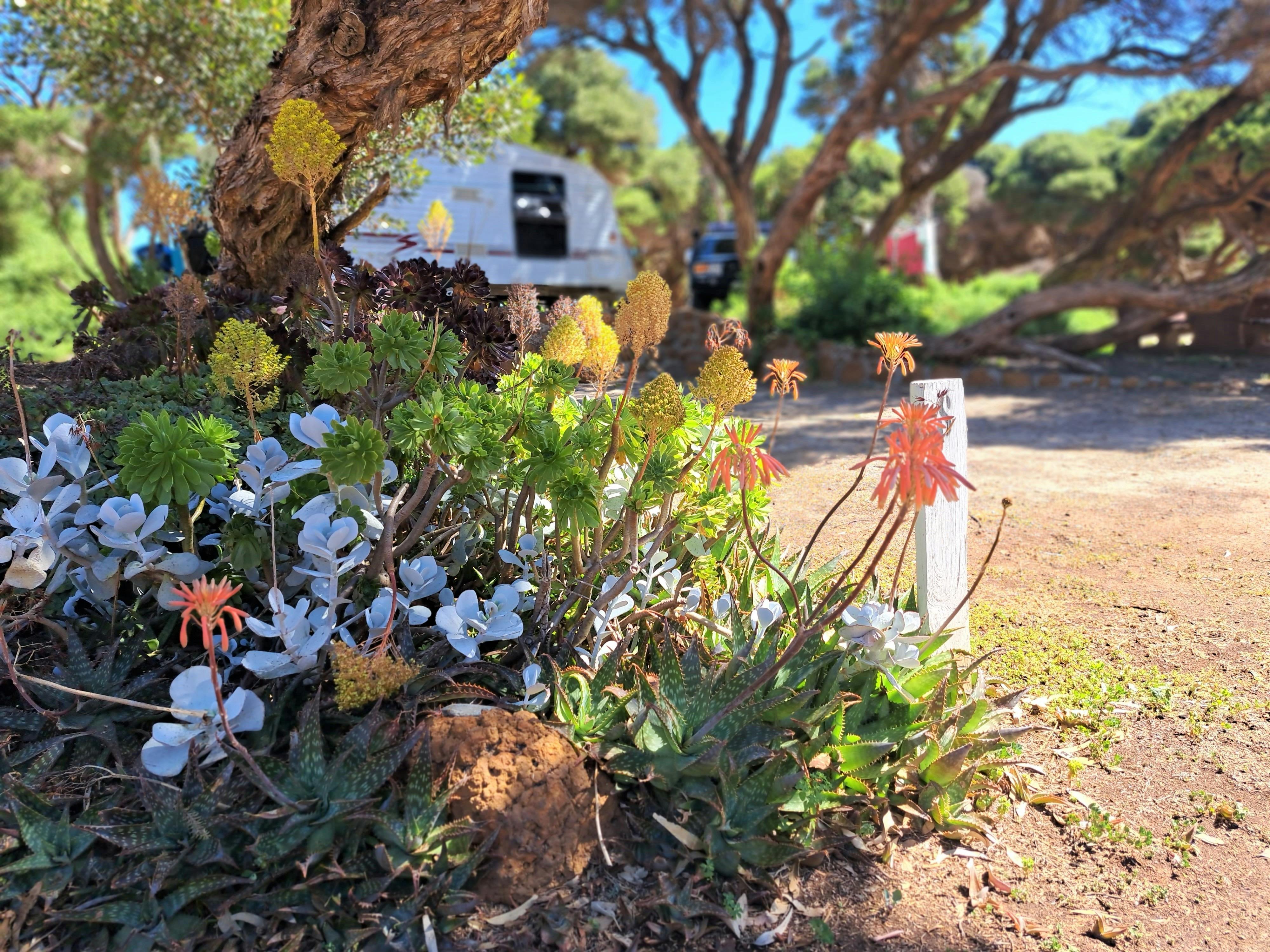 633C4E16E981569B67A98127377Df64B