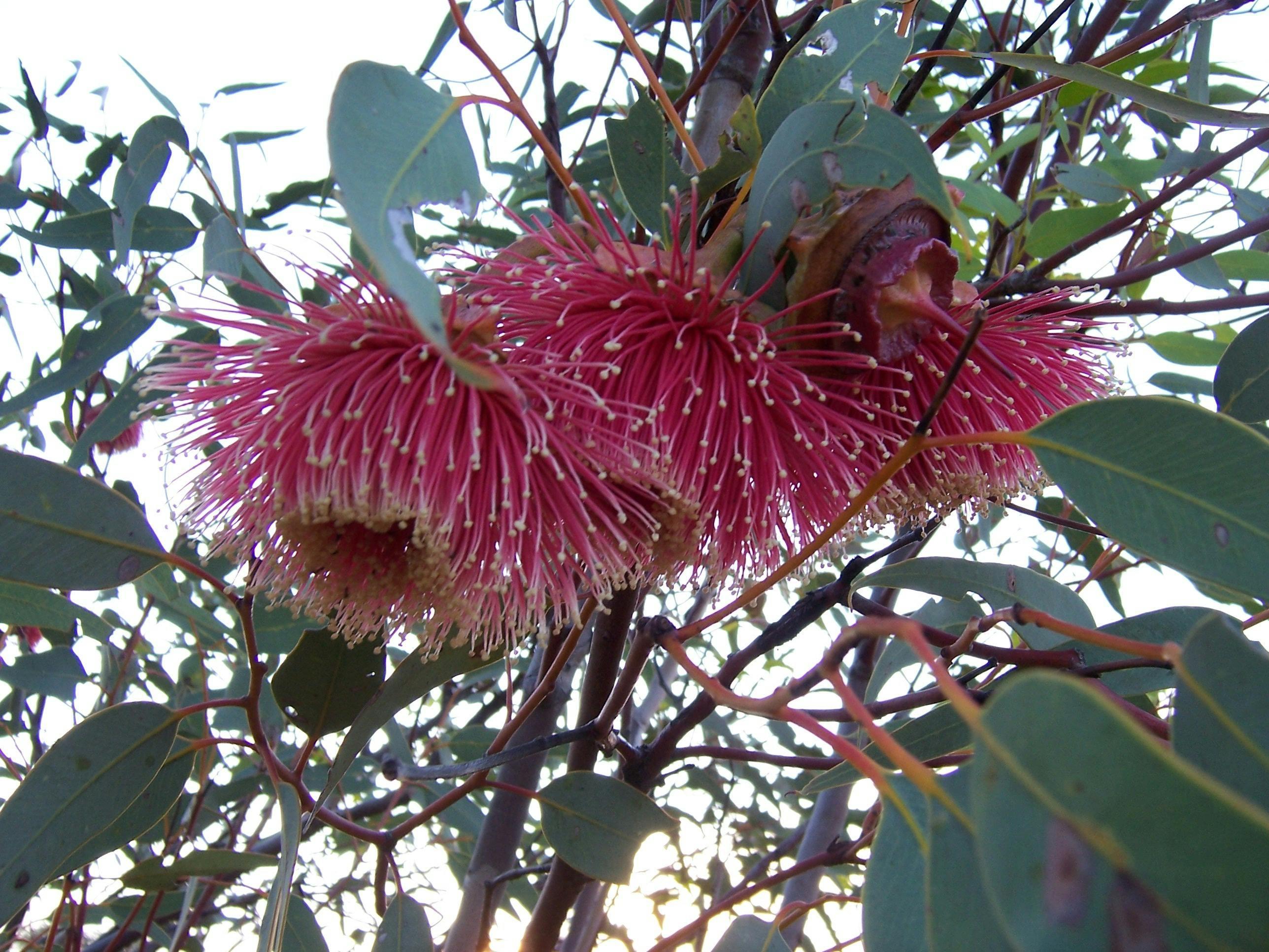 664Cdcea6524415D93D61508553277B6_7Ijm6Pq