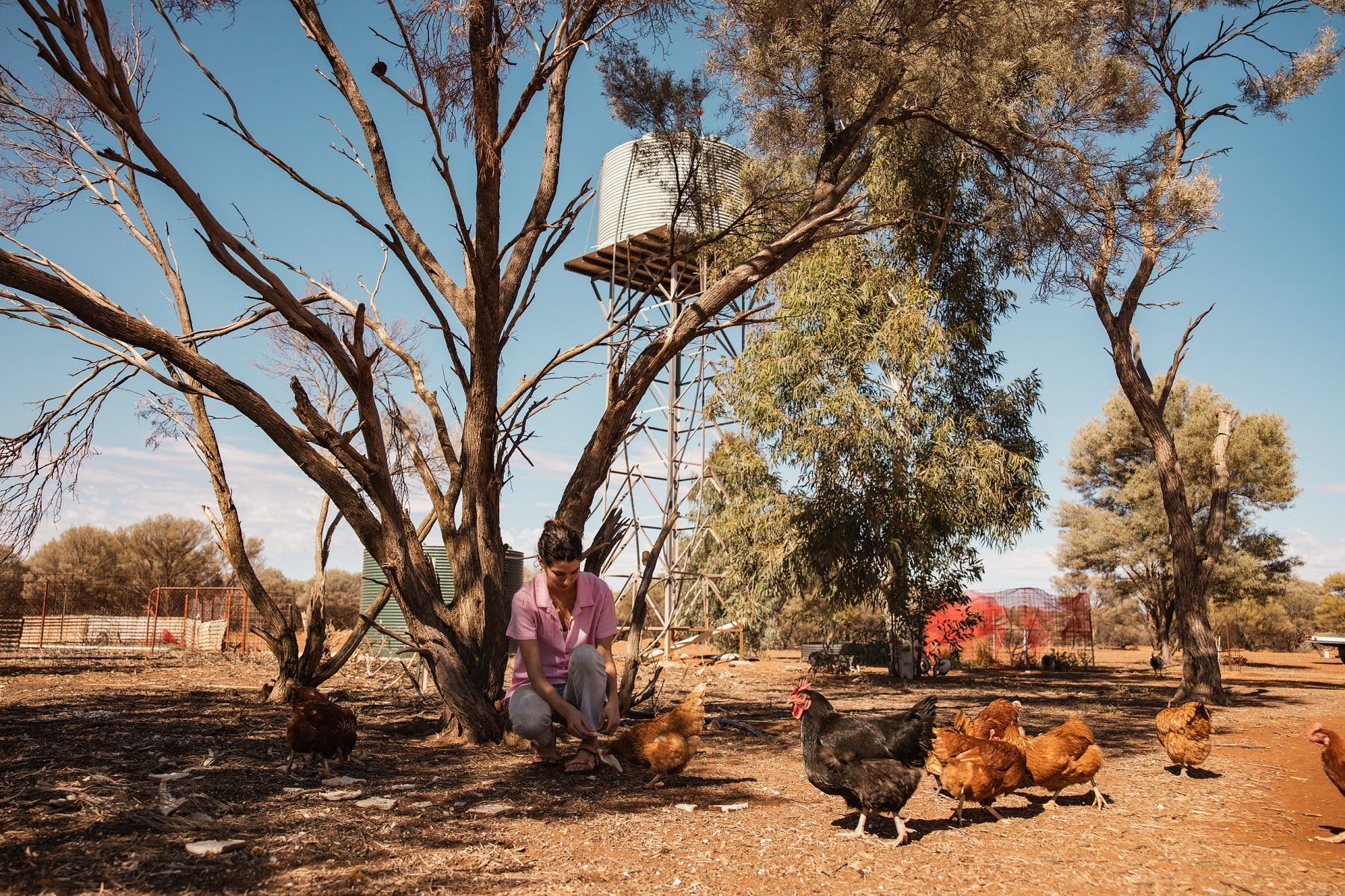 68A59503358Ea2De2D4F54Cba0C52Bda