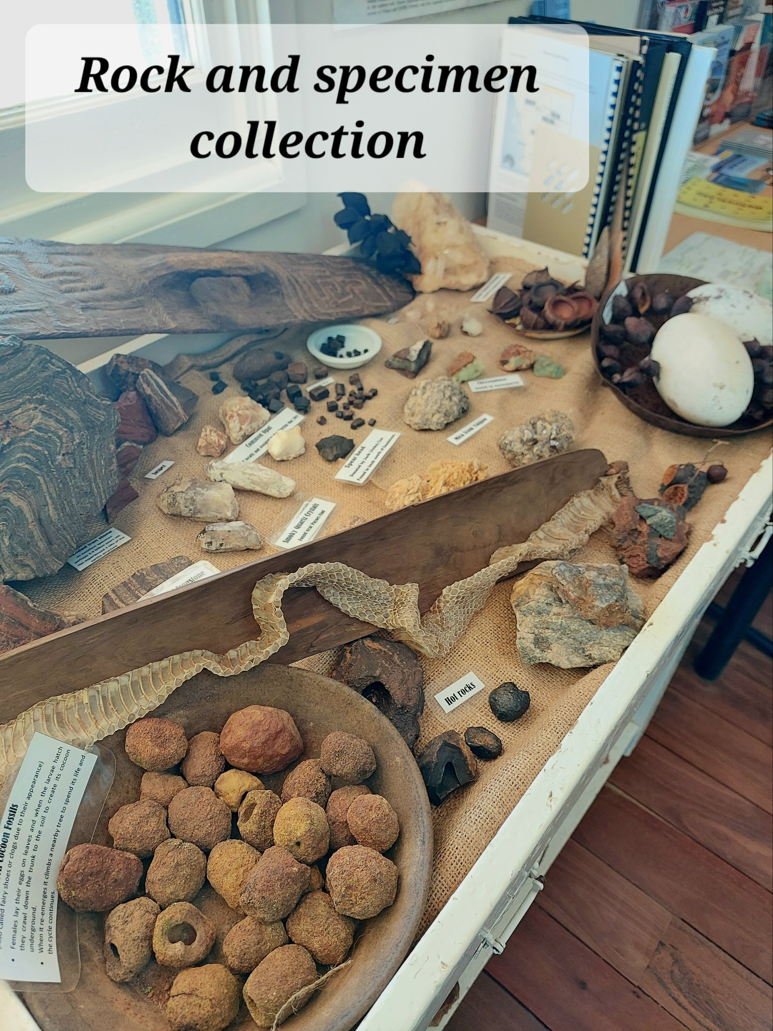 6D106Fe01A226Bb36022F678E9883E4A