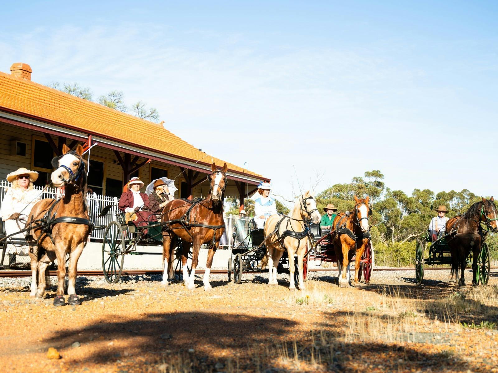 6Ecc0Db69A886F69Bb075A60B4199512