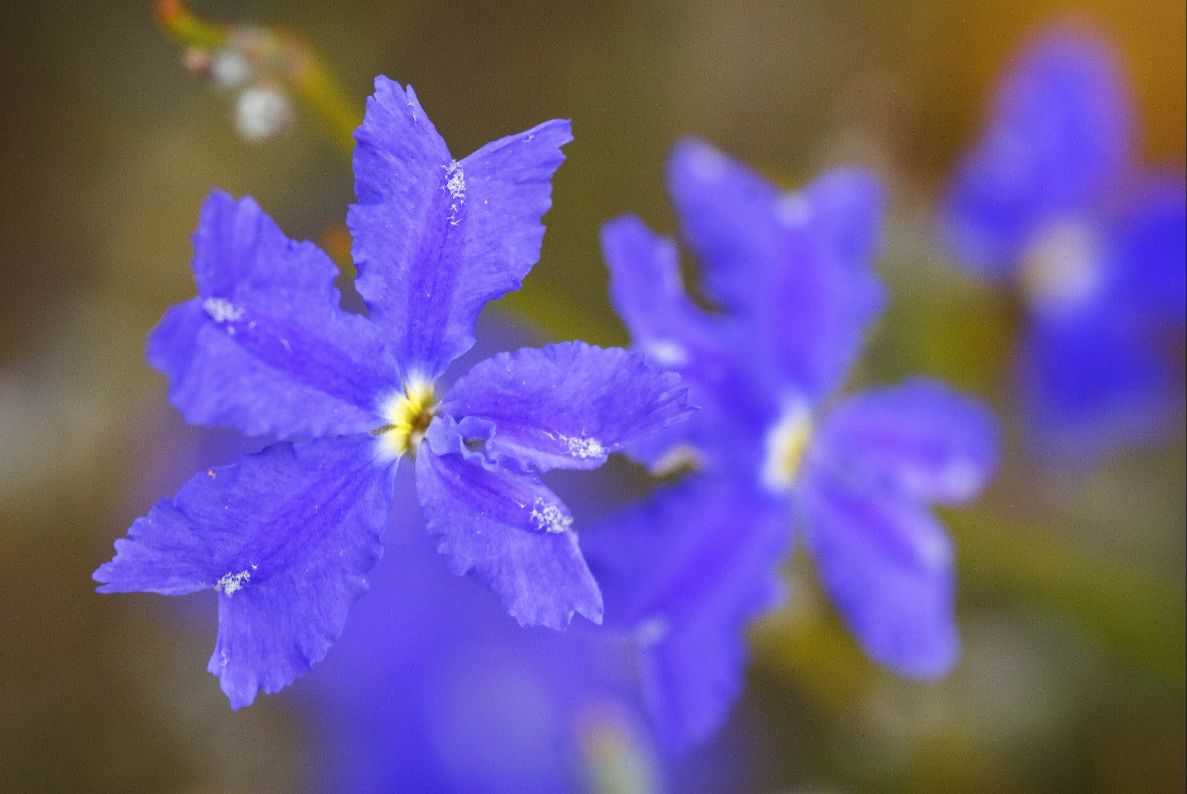 6Fa3F7F257146838028D062405F0E2D0