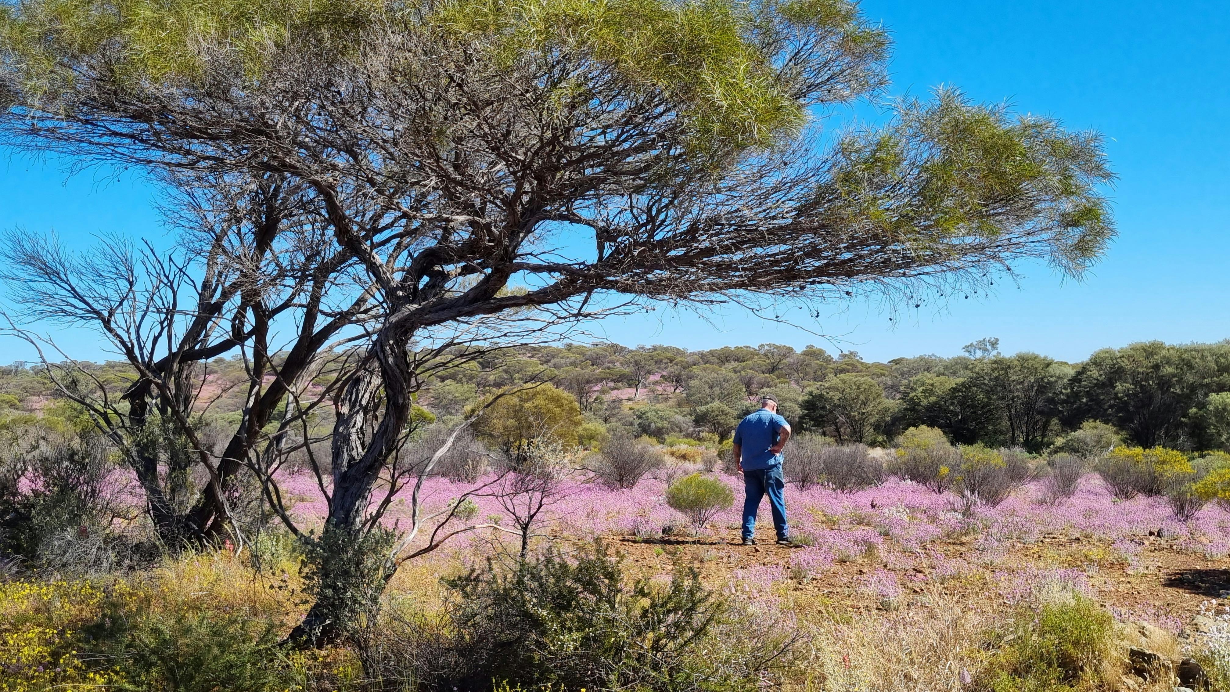 701E5700A16Cbb031Df810Bc3Fc3134C