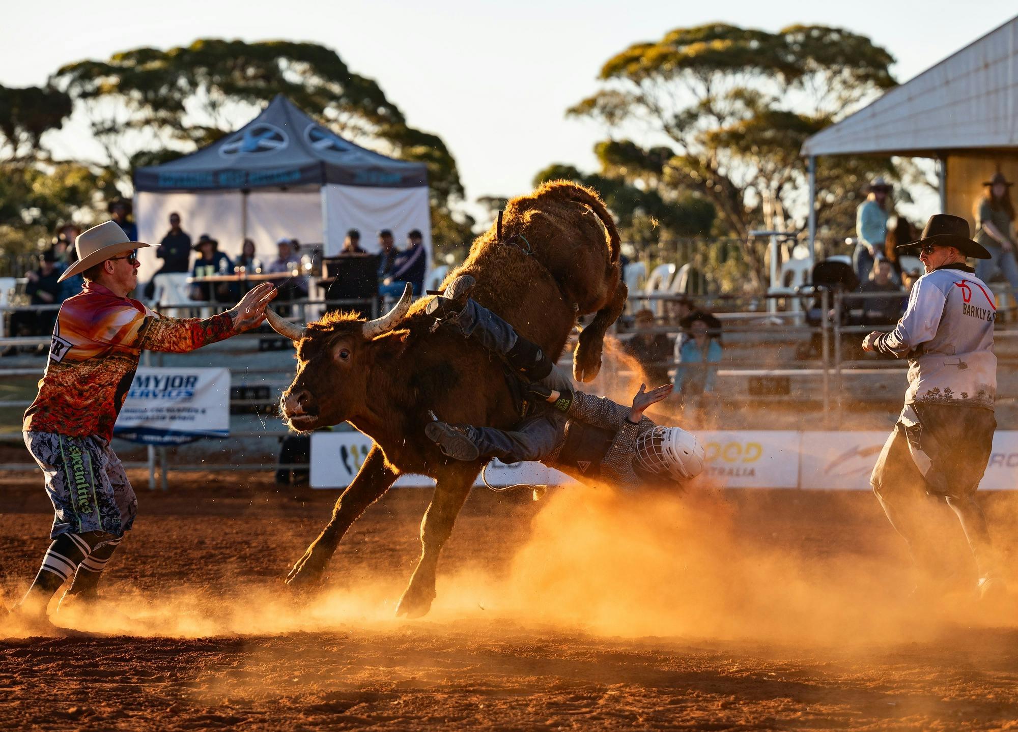 70654B8B8C98660B8E98A8Afc0259Bd2