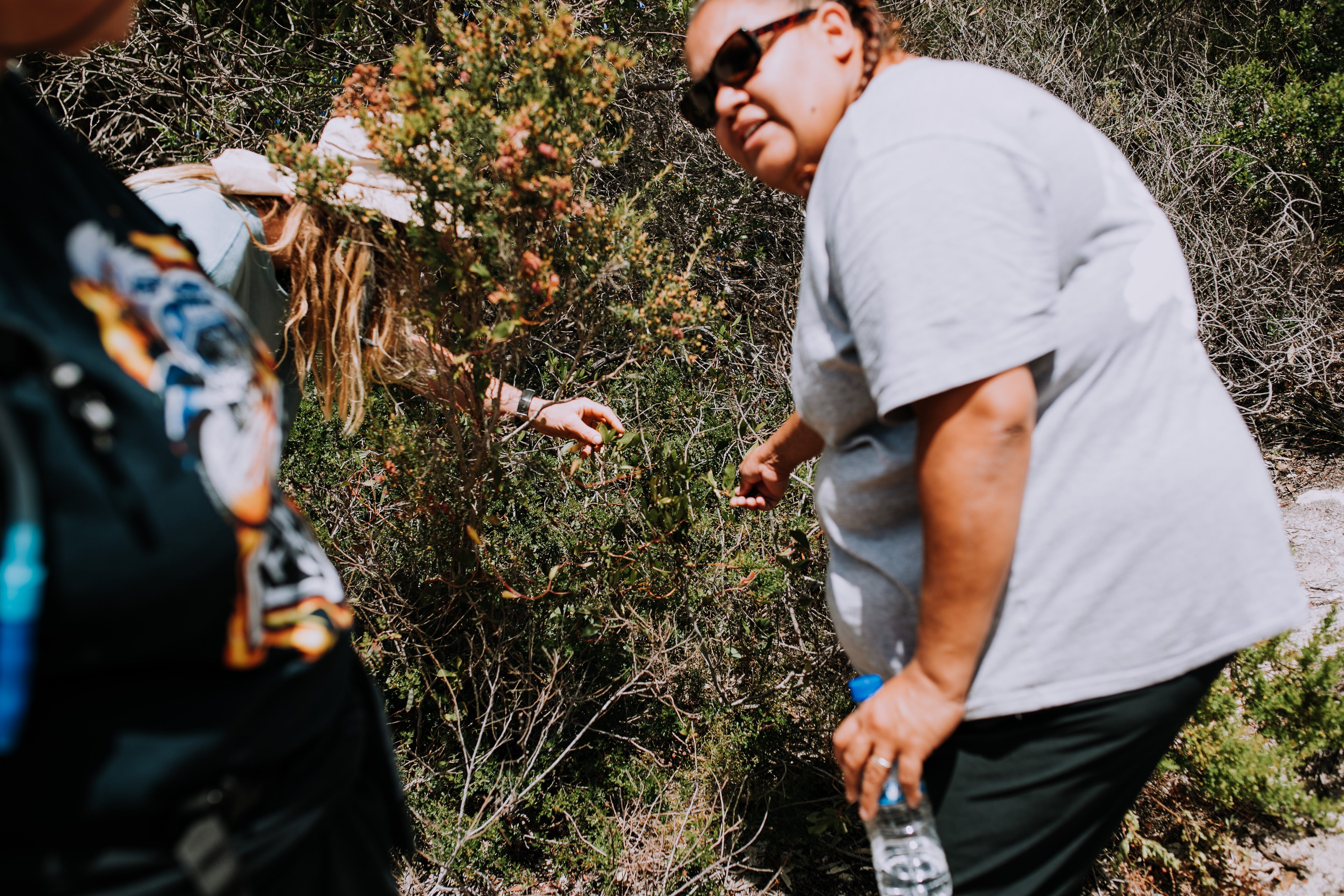 718249Ee359F25A4Bd5C84F125D049B0