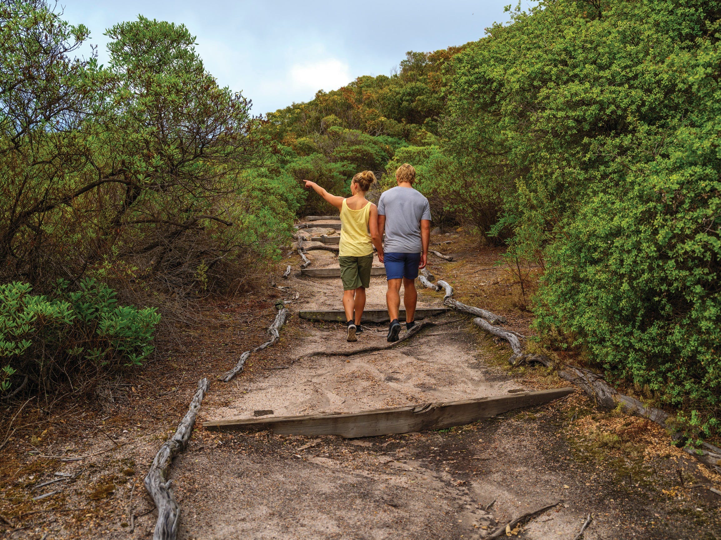 71B7F7605Db0Cc534Da946F37154Ed6F