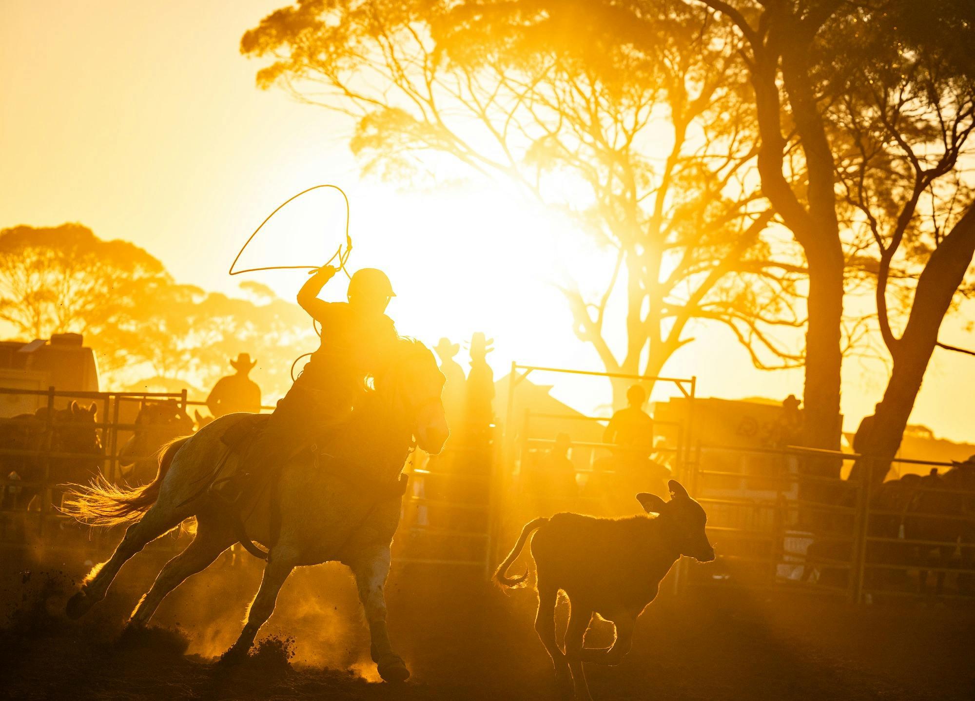 7269E404C4F5Ef994F35Eb48291A7182