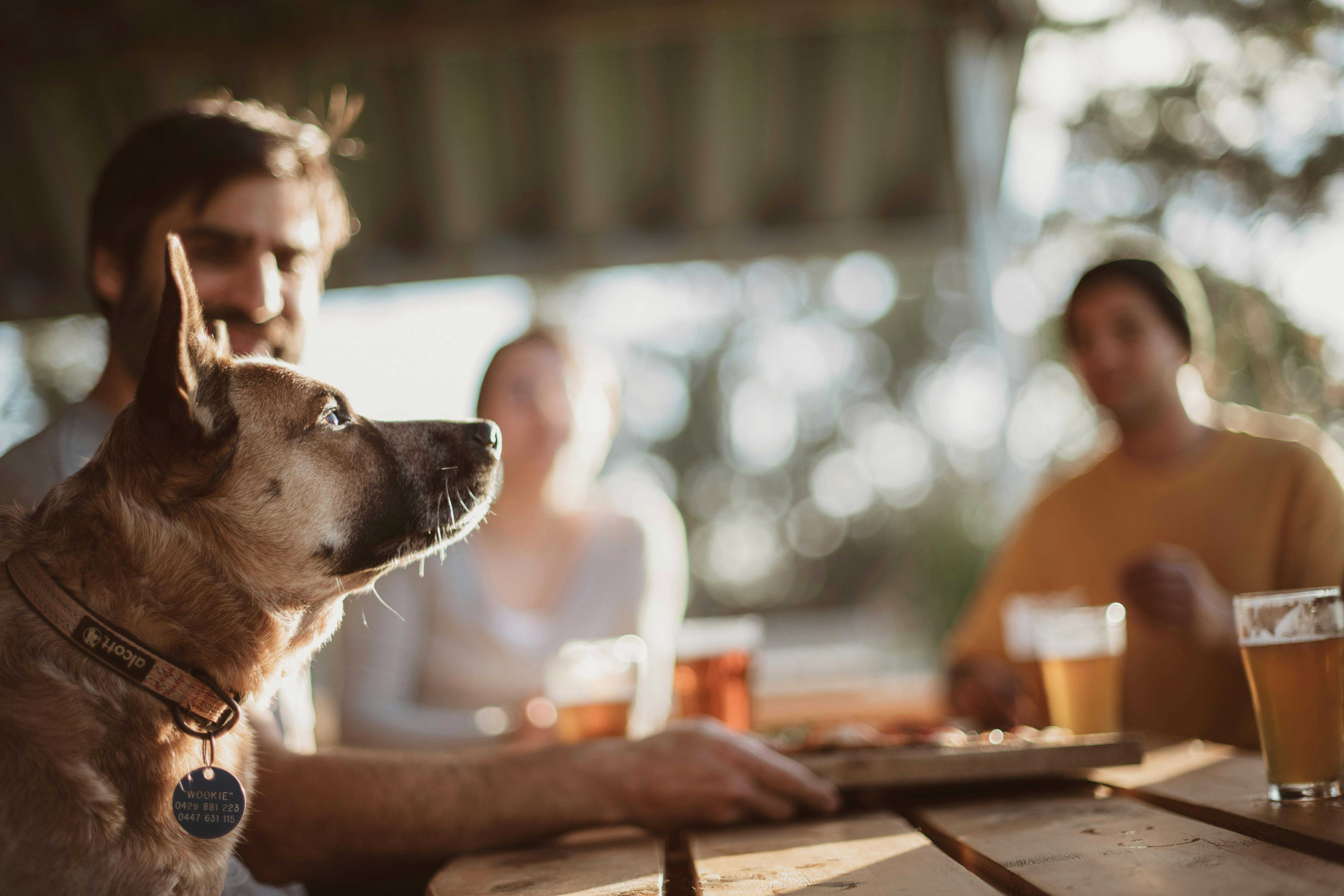 761B375802C43625D77D3499370C52A6