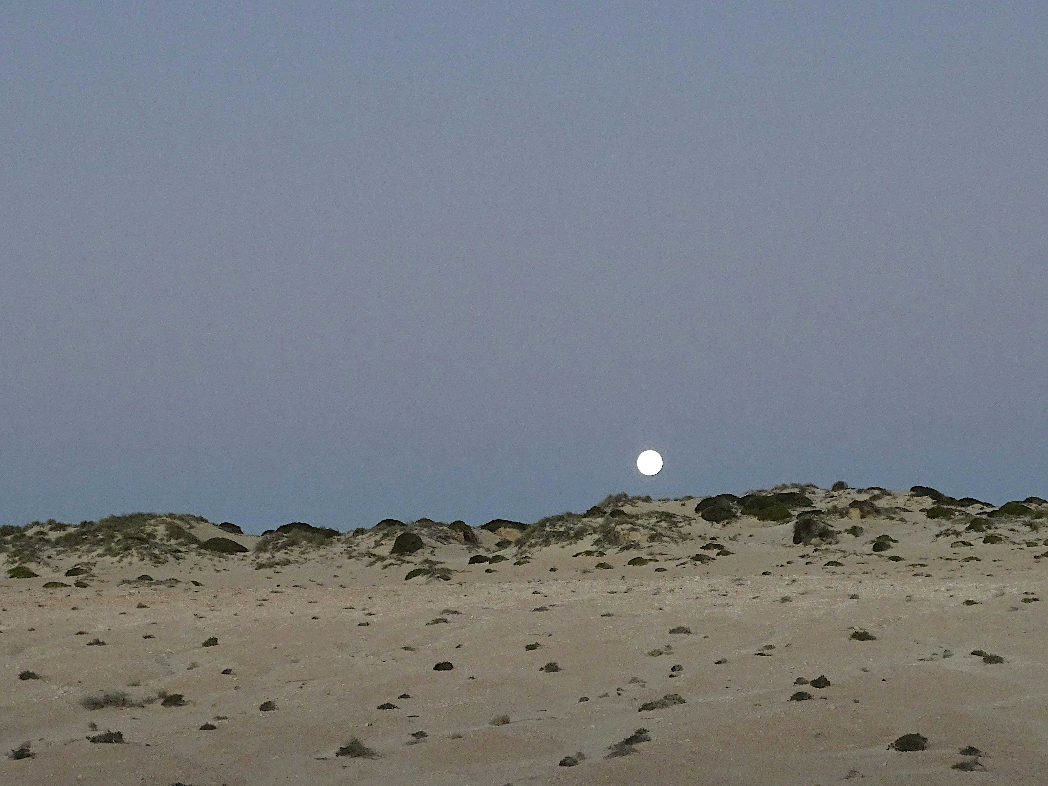 7Eb47690A7131B4225A355Be29303Fd8