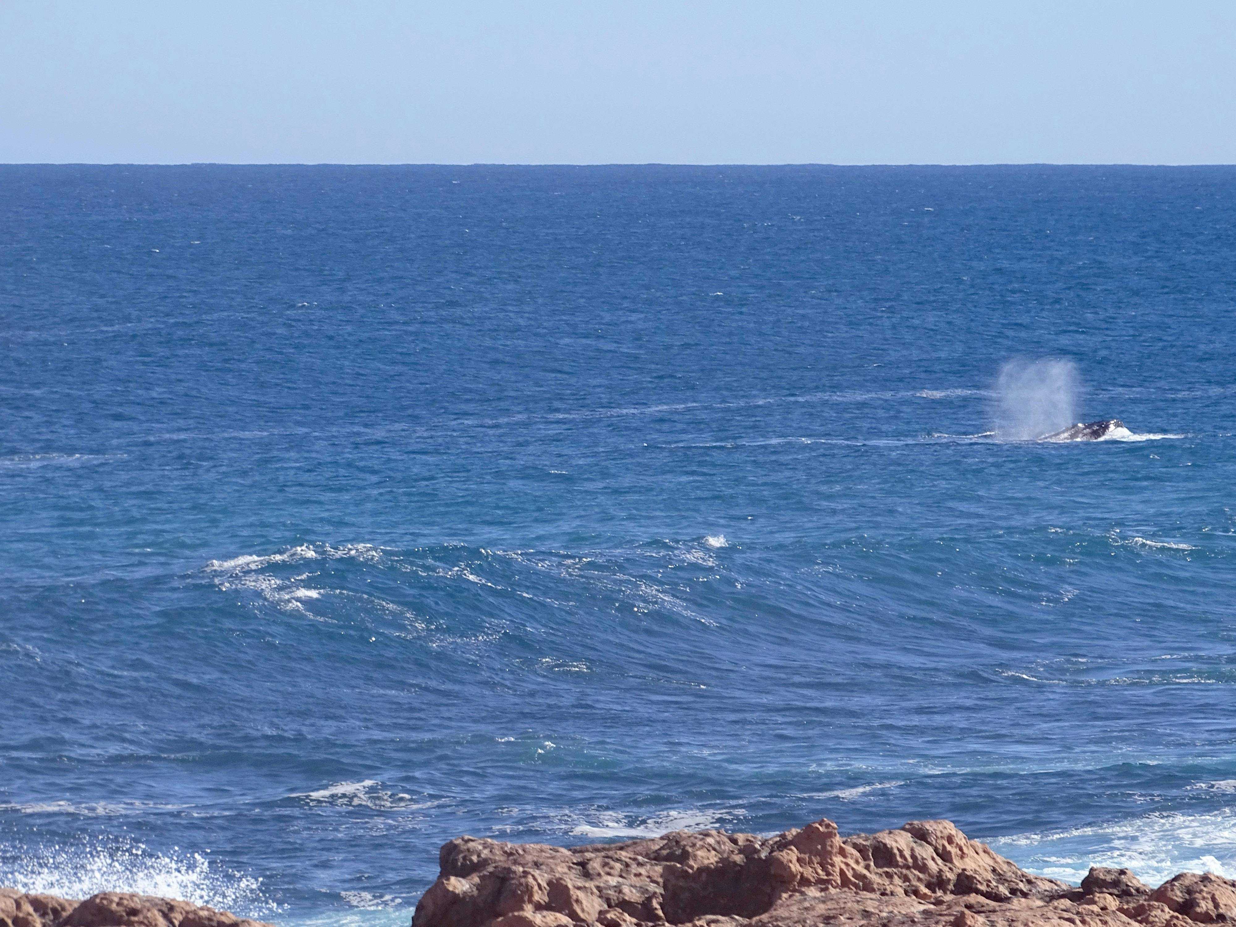 7F2B79C30Aa4F870611651Bc19B65Dc3