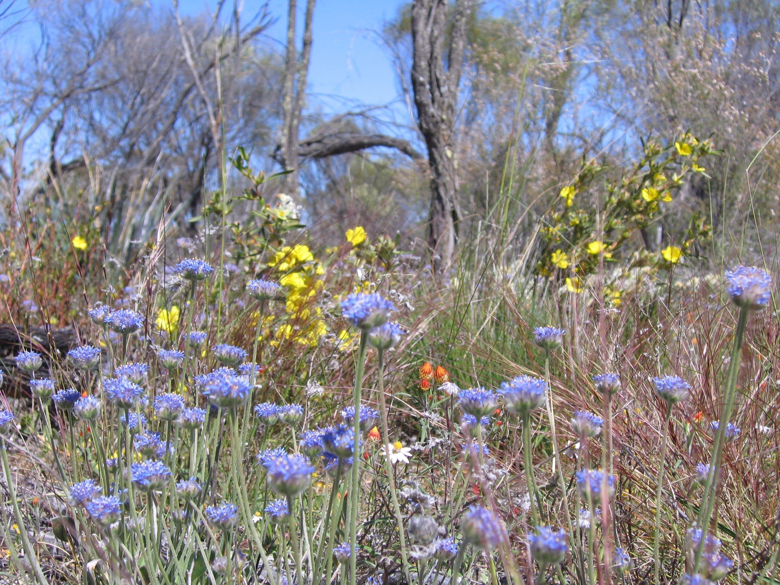 809A807A06E245C19377D0A6Aced86Ba