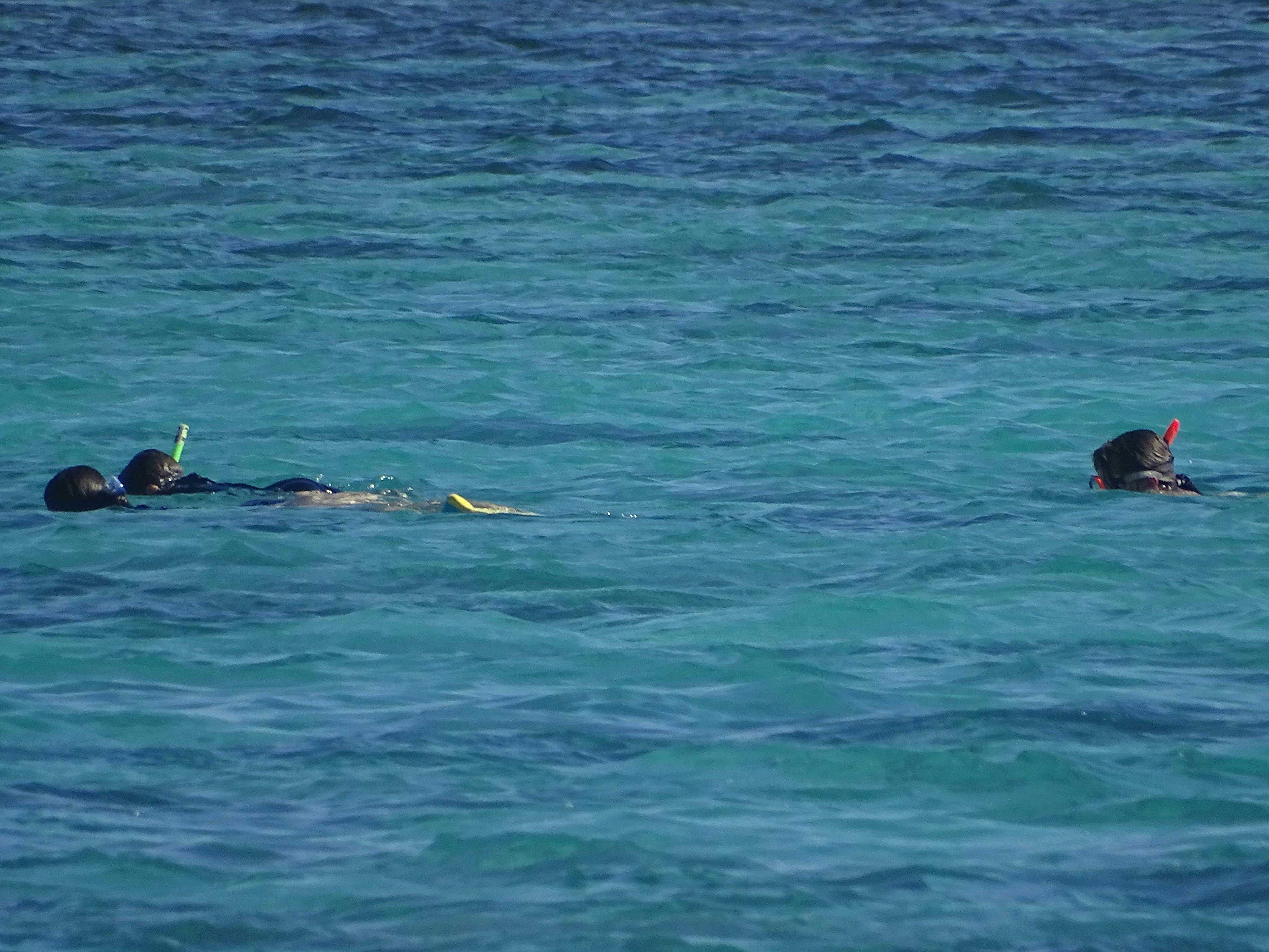 825Ae7Fbe199B7F062363F18Ca743F45