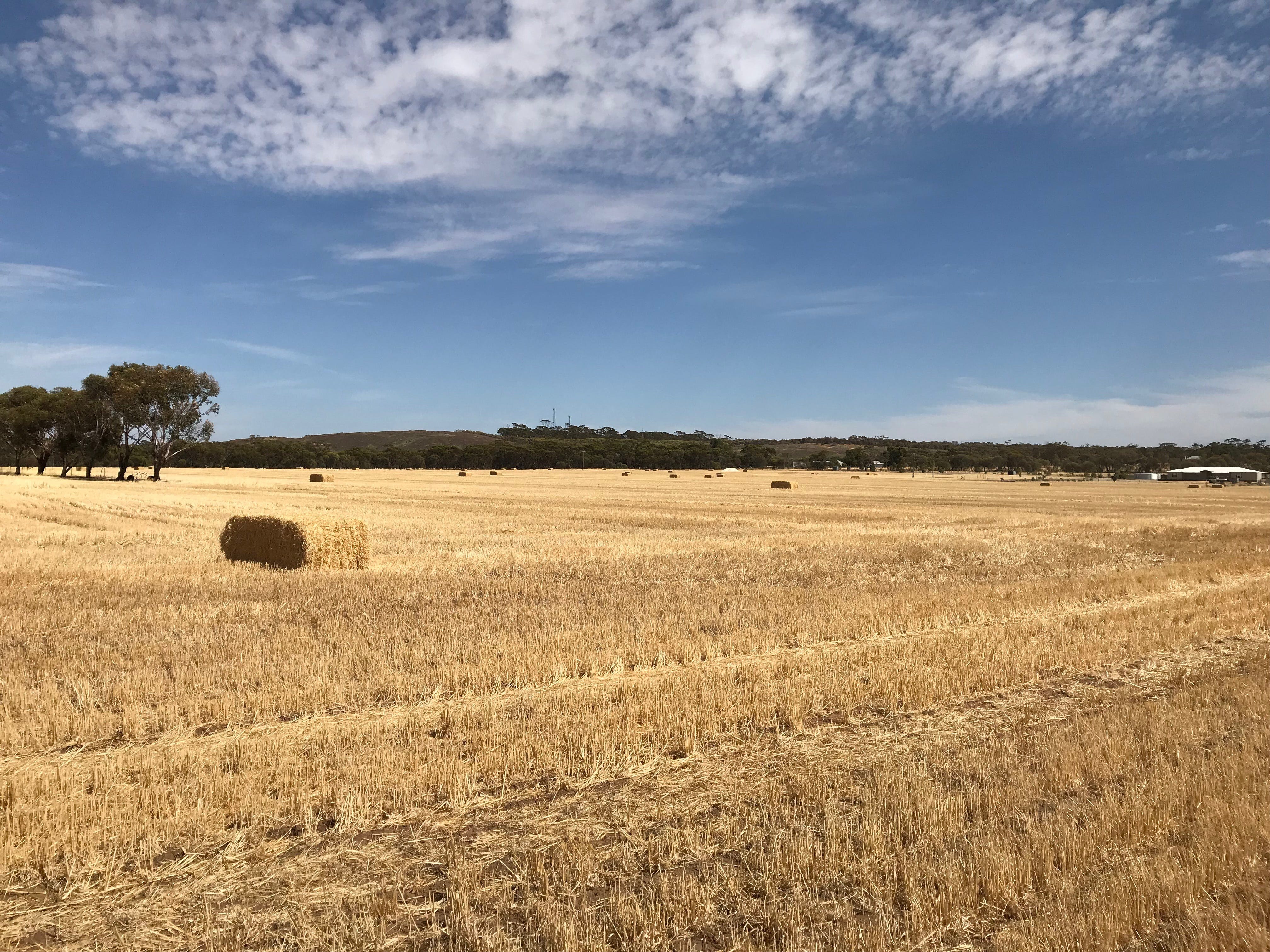 835Cb471Bb5715C6Be87480C47330337