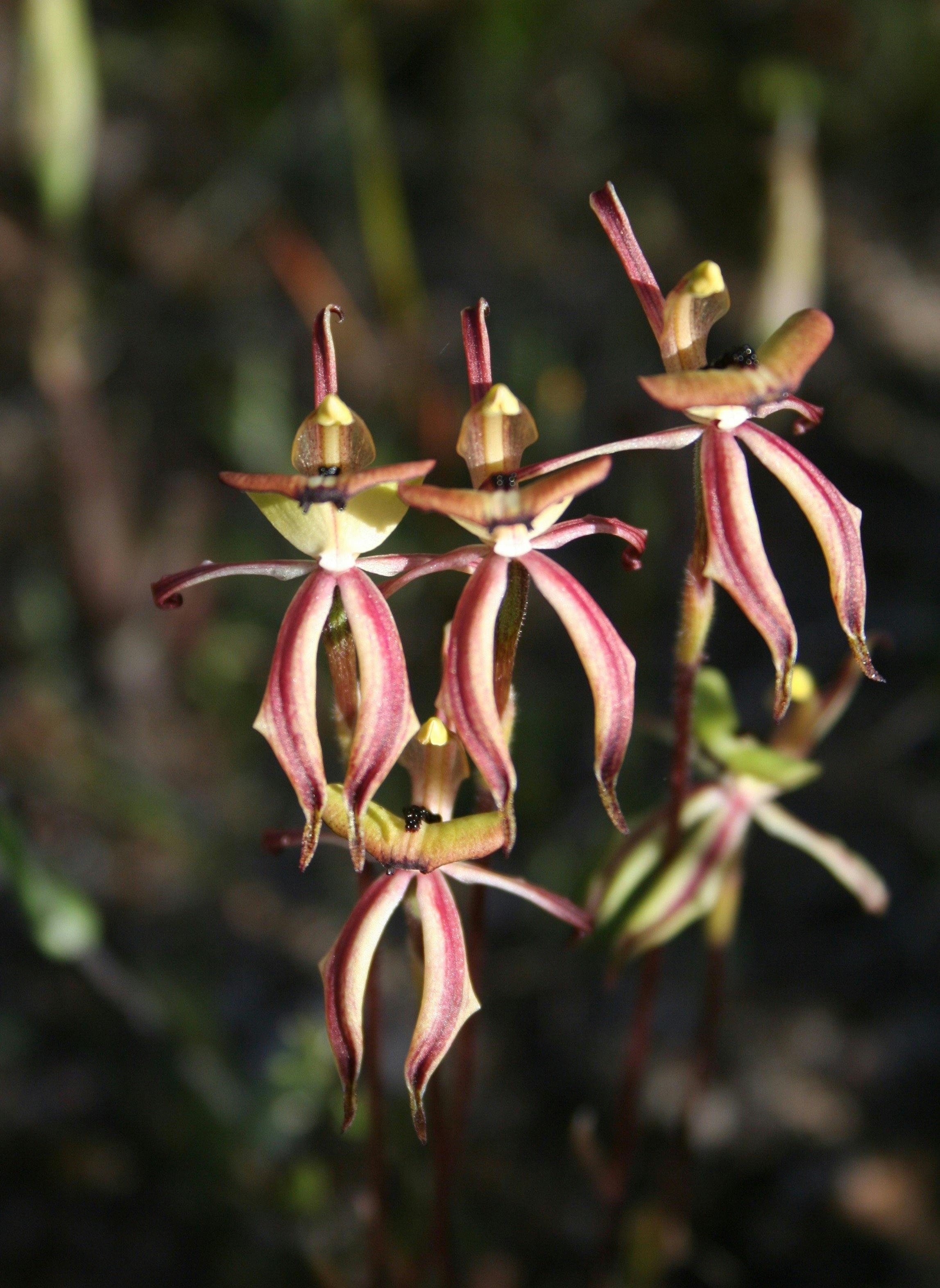 85B6535A3Cd0C9D57824F84452A813Ea