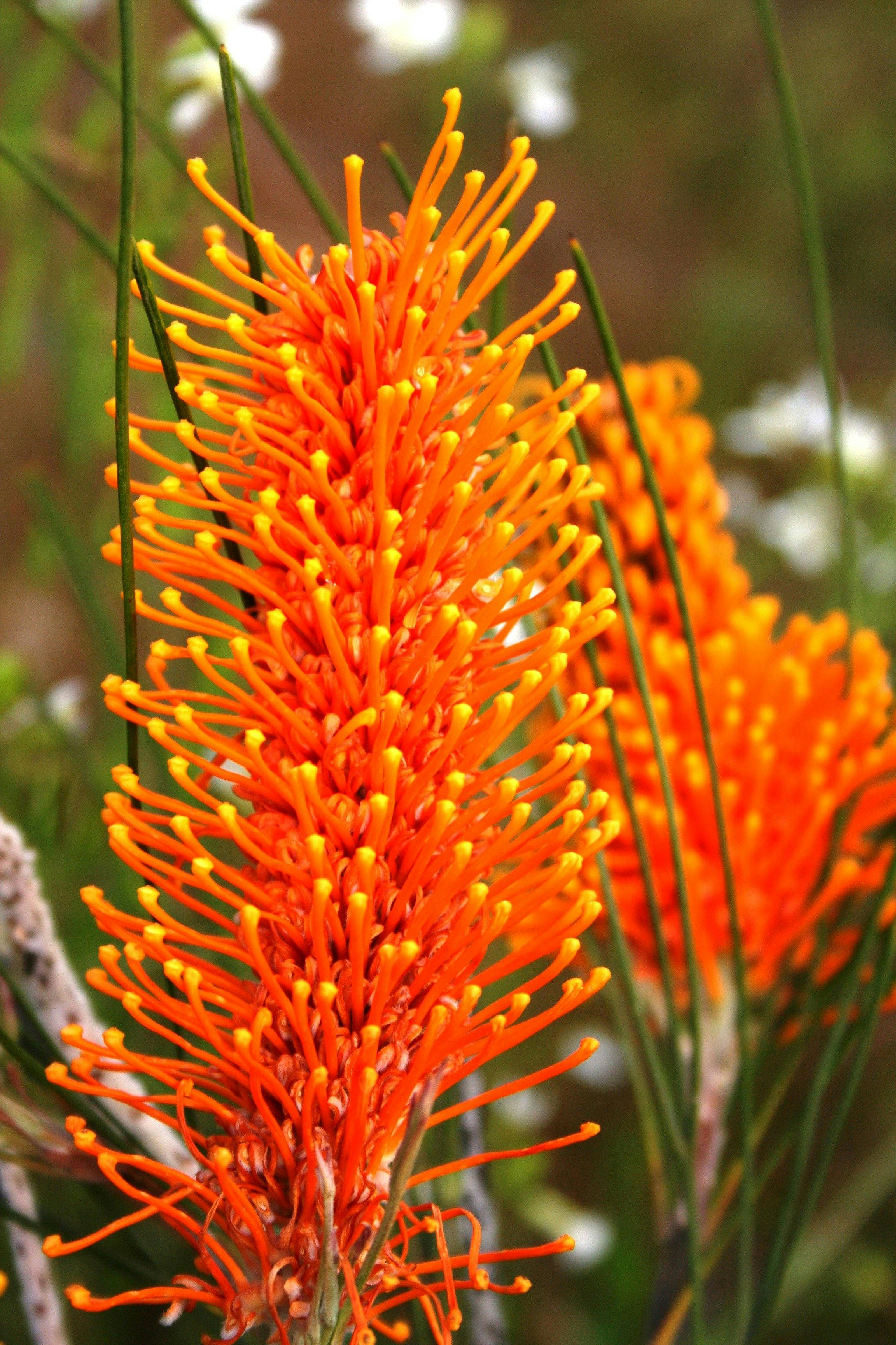 8657A8B0Ed6Fc87D12D5E1Bb84Afdf8F