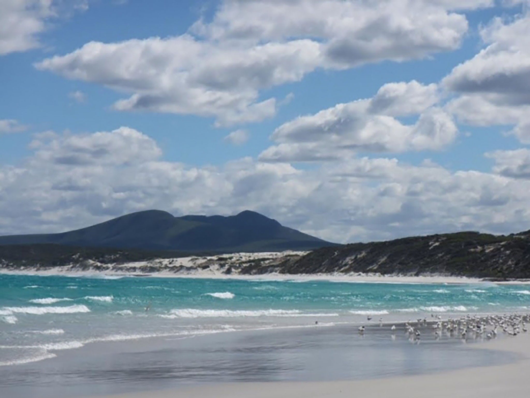 8B3A1B092De09E729A6592F085E323B8