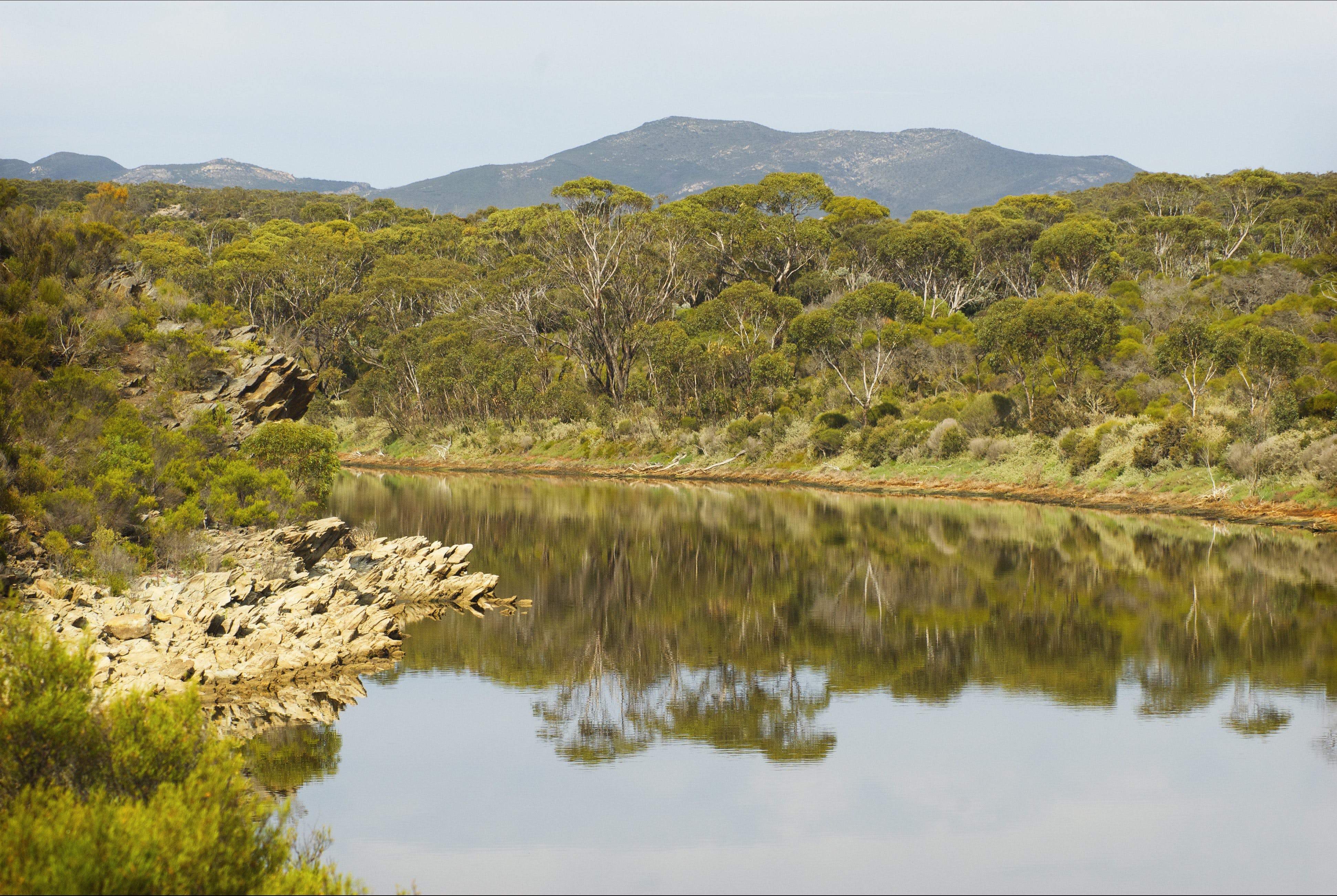 8B576719923033D88B09986C2F2630C3