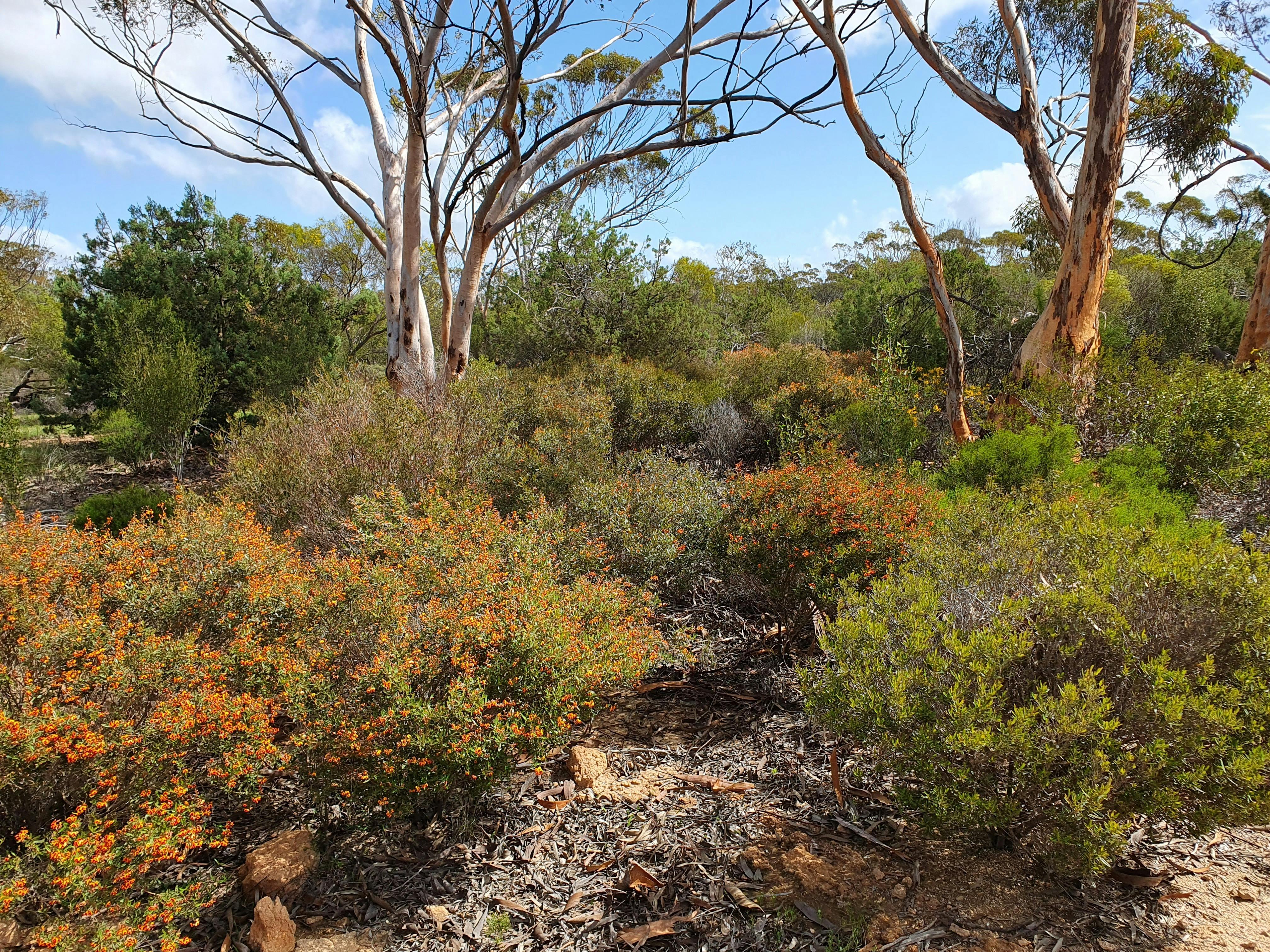 91B3F56Bbf89Cc848E9Ff4F692Fac71B