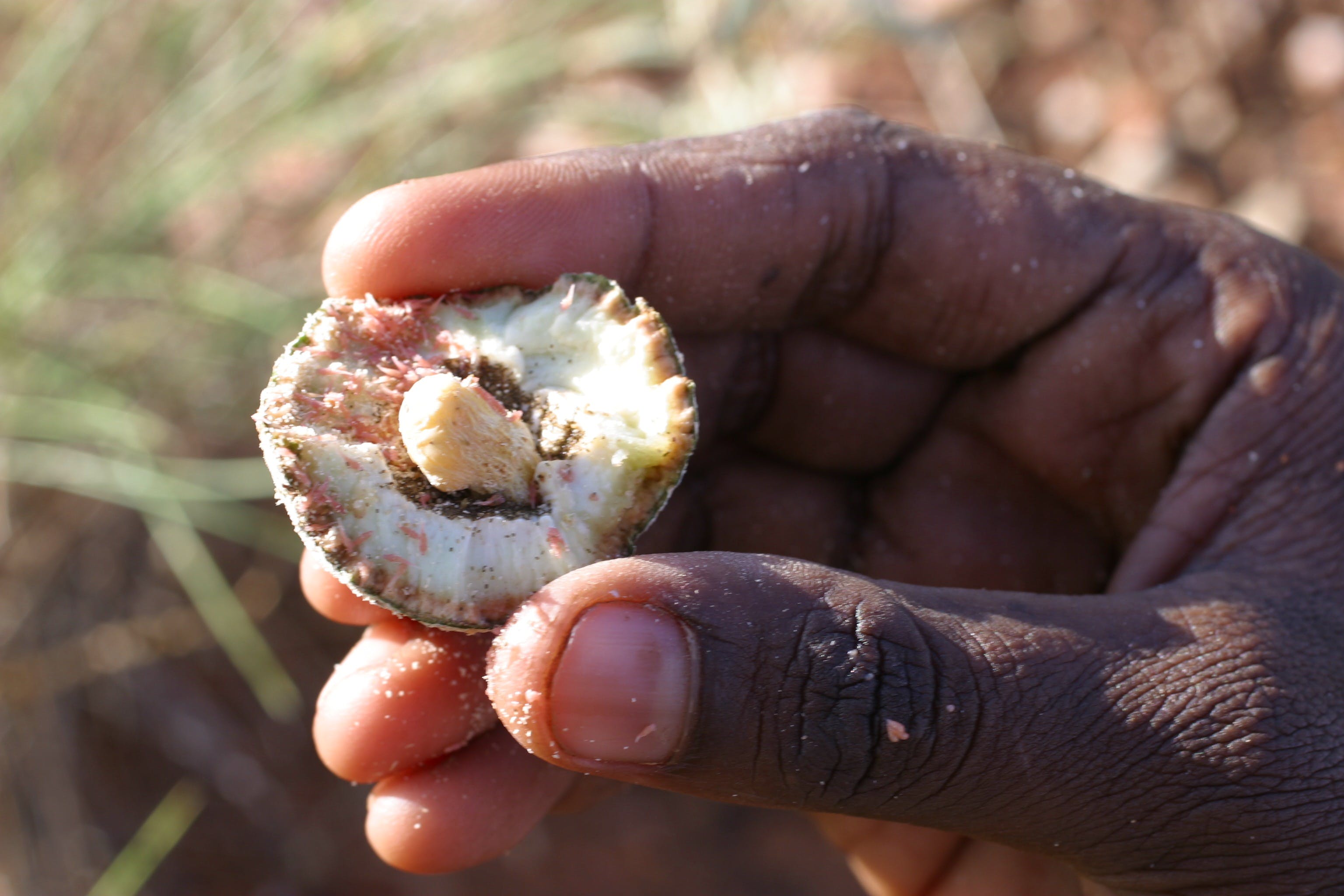 98892B03741285E3Ee792Fc7Fb5Cd7Ff