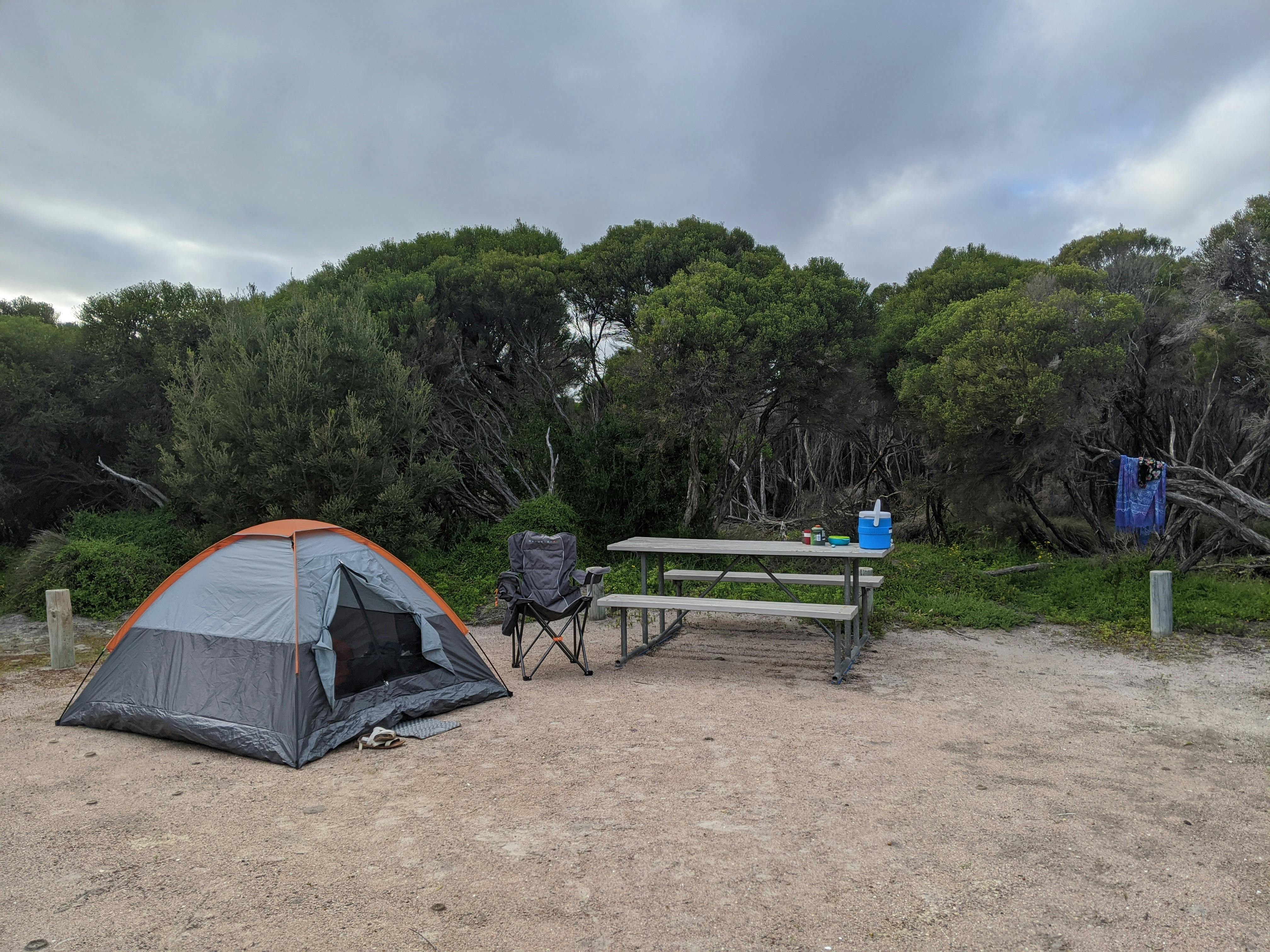 9E77Fb8Afa6C732E739835F7Ee9F5E24