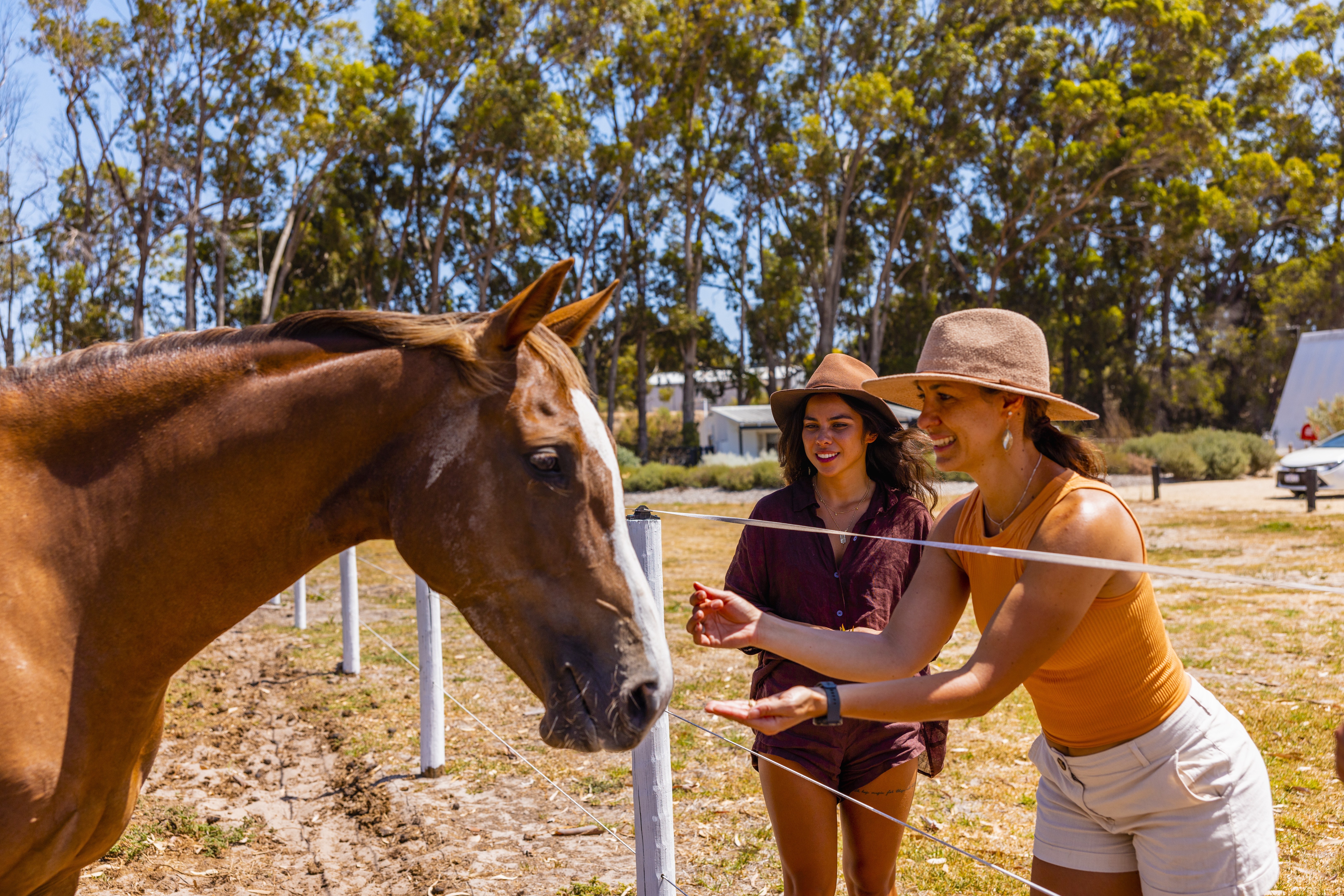 Esperance Chalet Village NECI 17
